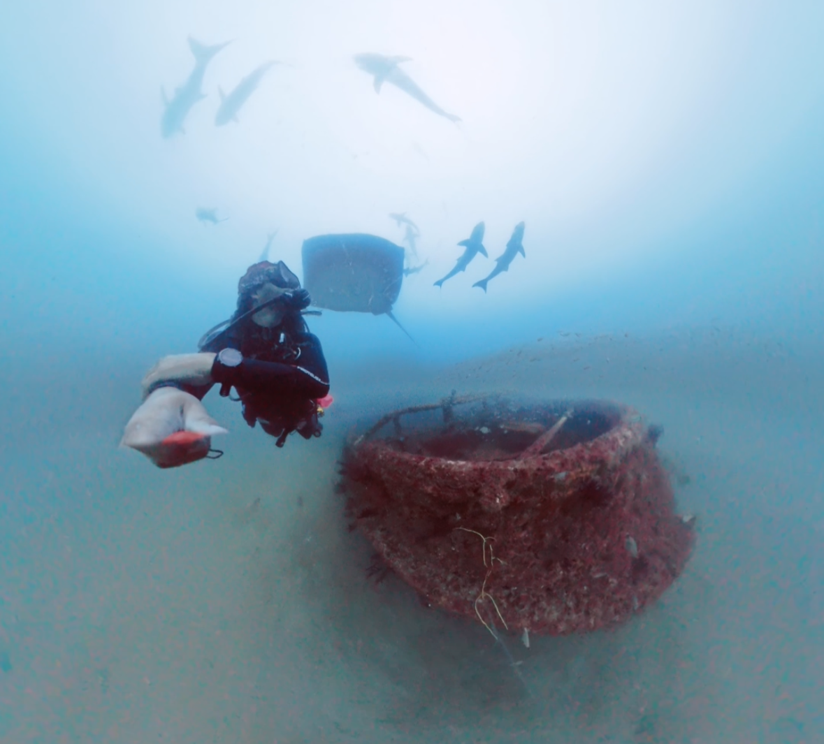 Underwater scene with a scuba diver near a submerged rusted shipwreck and a sea mine, with sharks swimming above.