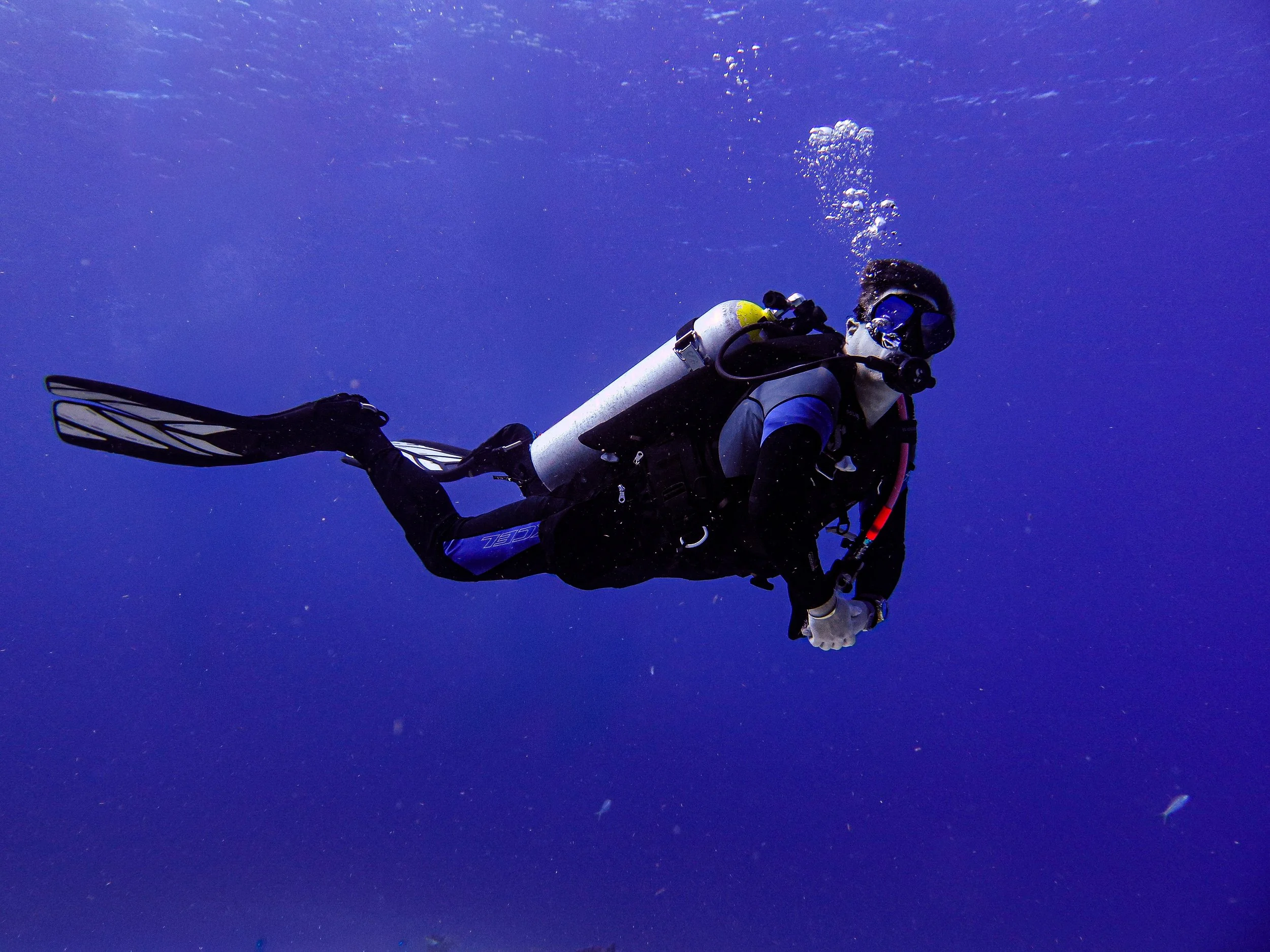 A scuba diver swimming underwater with a blue background, wearing a wetsuit, mask, snorkel, and fins, and carrying an oxygen tank.