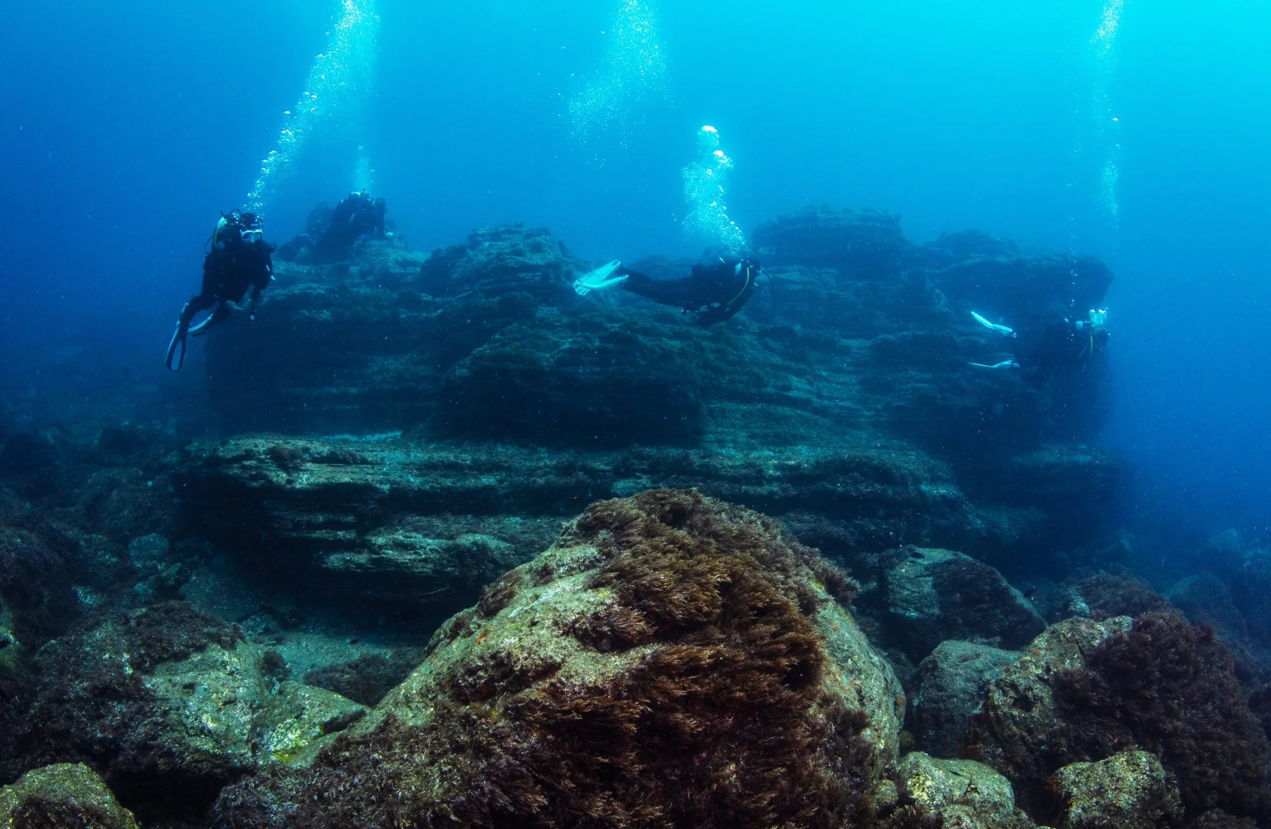 Group of scuba divers exploring an underwater rocky terrain with diverse marine life.