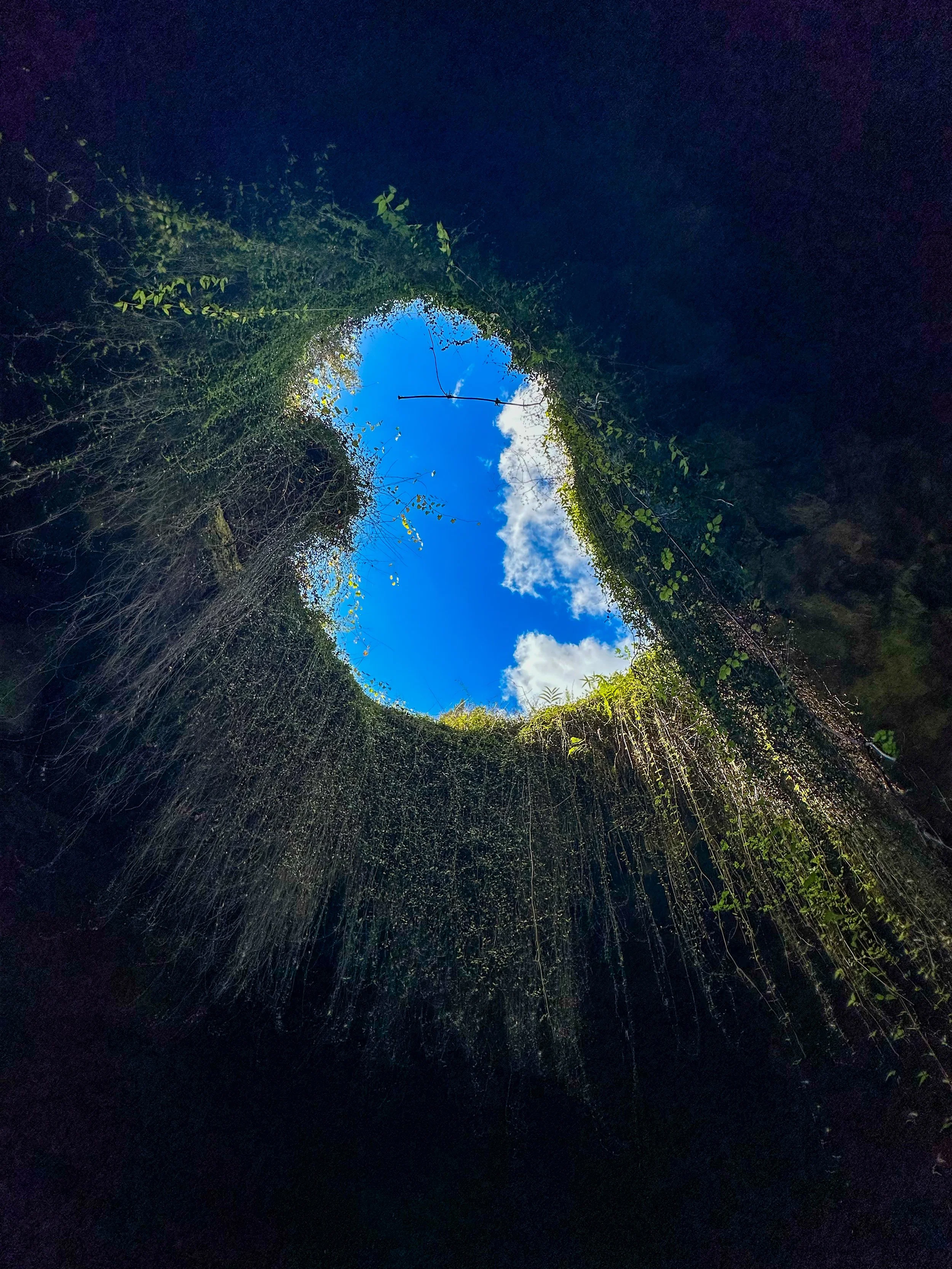 View from the bottom of a sinkhole looking up at the sky, with surrounding vegetation and a piece of wood across the opening.
