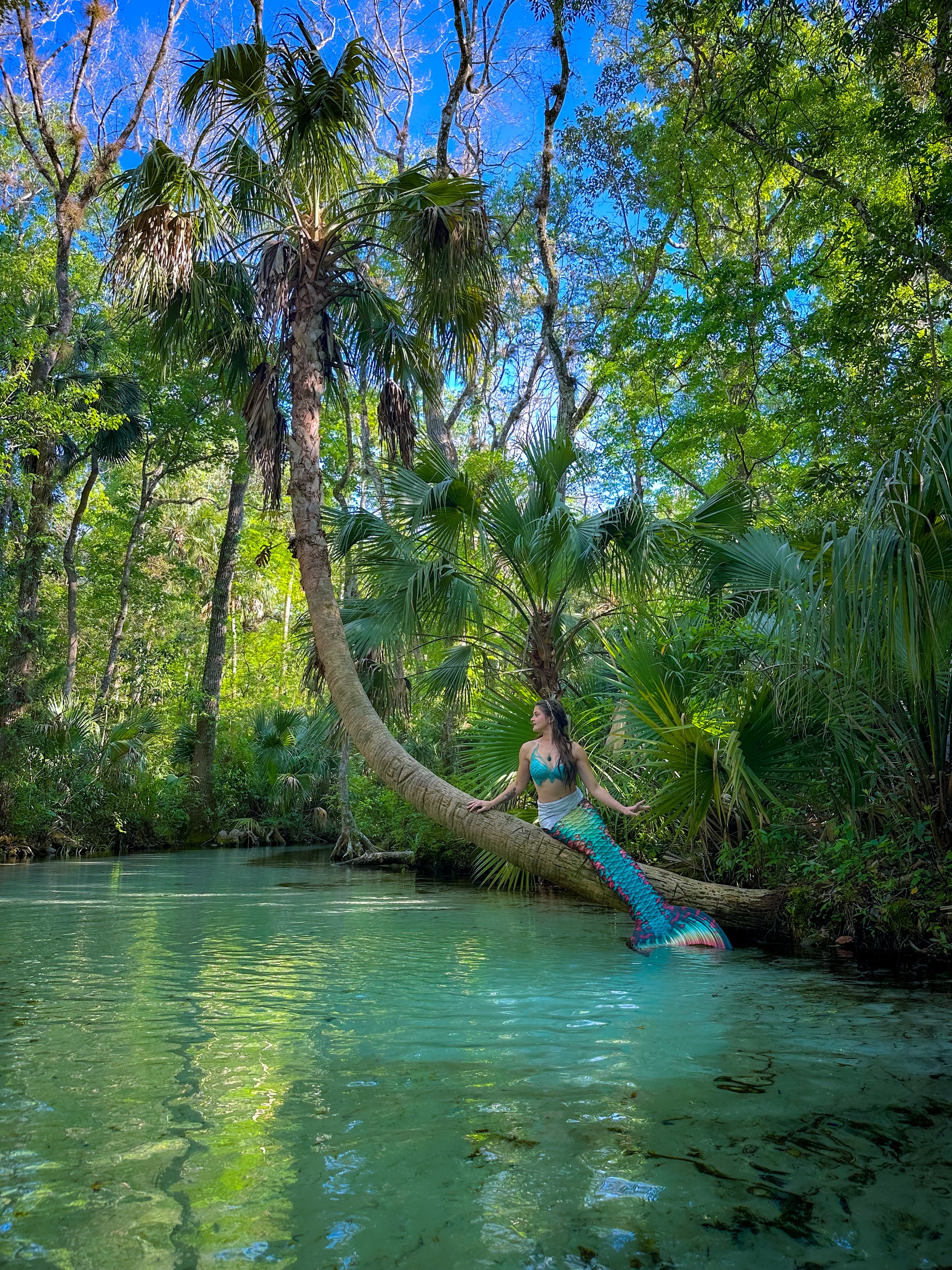 A woman dressed as a mermaid with a colorful tail and blue top, sitting on a curved tree branch over a river in a lush green jungle with blue sky visible through the trees.