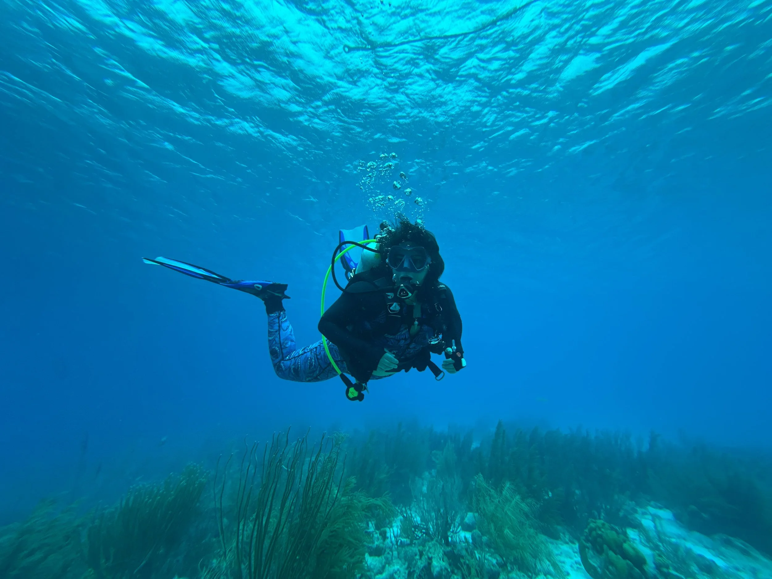 A scuba diver underwater near coral reefs, wearing a wetsuit, mask, and fins, with bubbles rising above.