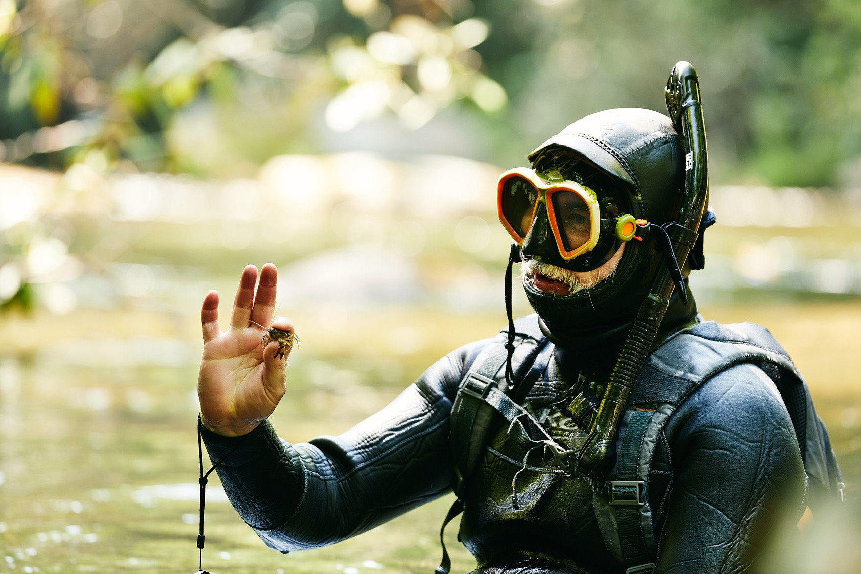 Person in black scuba diving gear holding a small frog in a natural outdoor setting