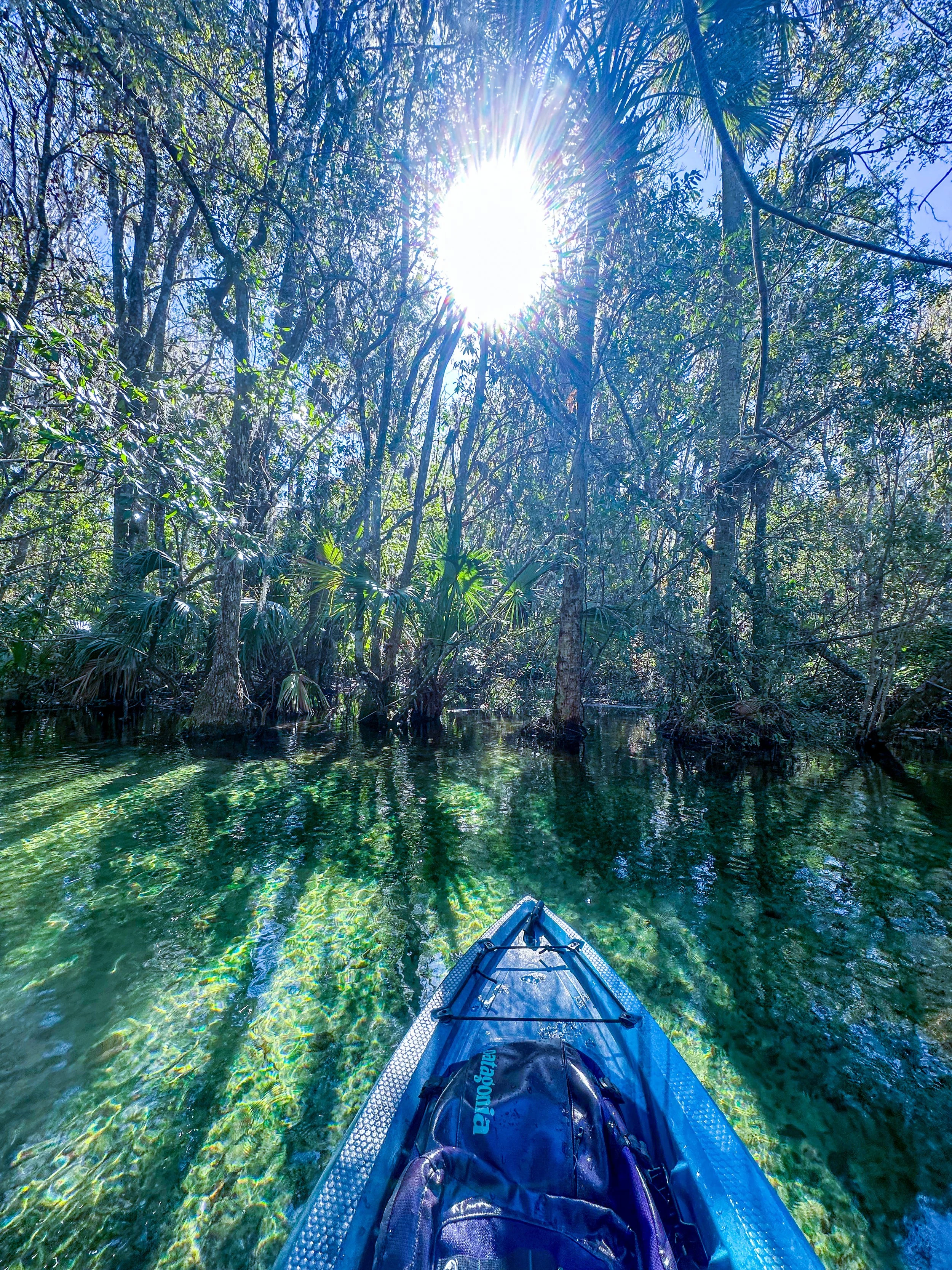 A kayak view on a clear water river flowing through a dense mangrove forest with the sun shining brightly overhead.