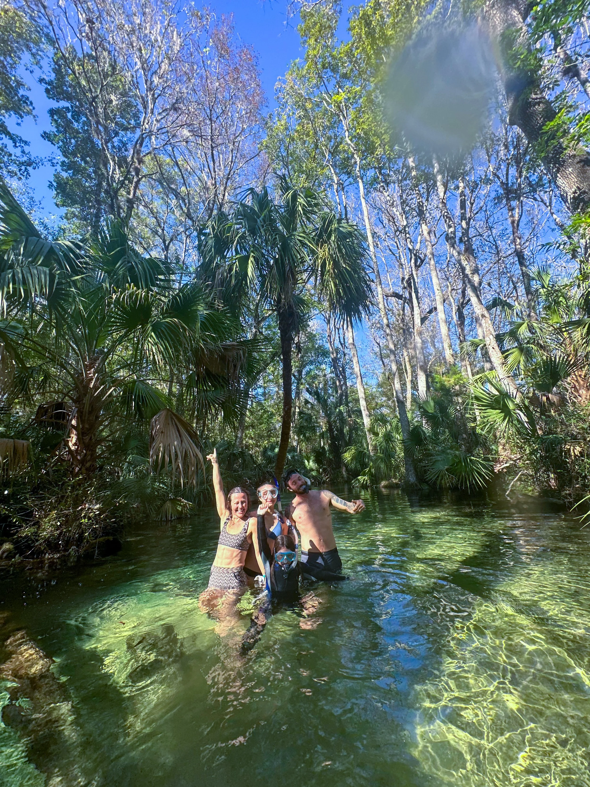 Four people are swimming in a clear stream surrounded by lush green trees and plants, with a blue sky overhead.