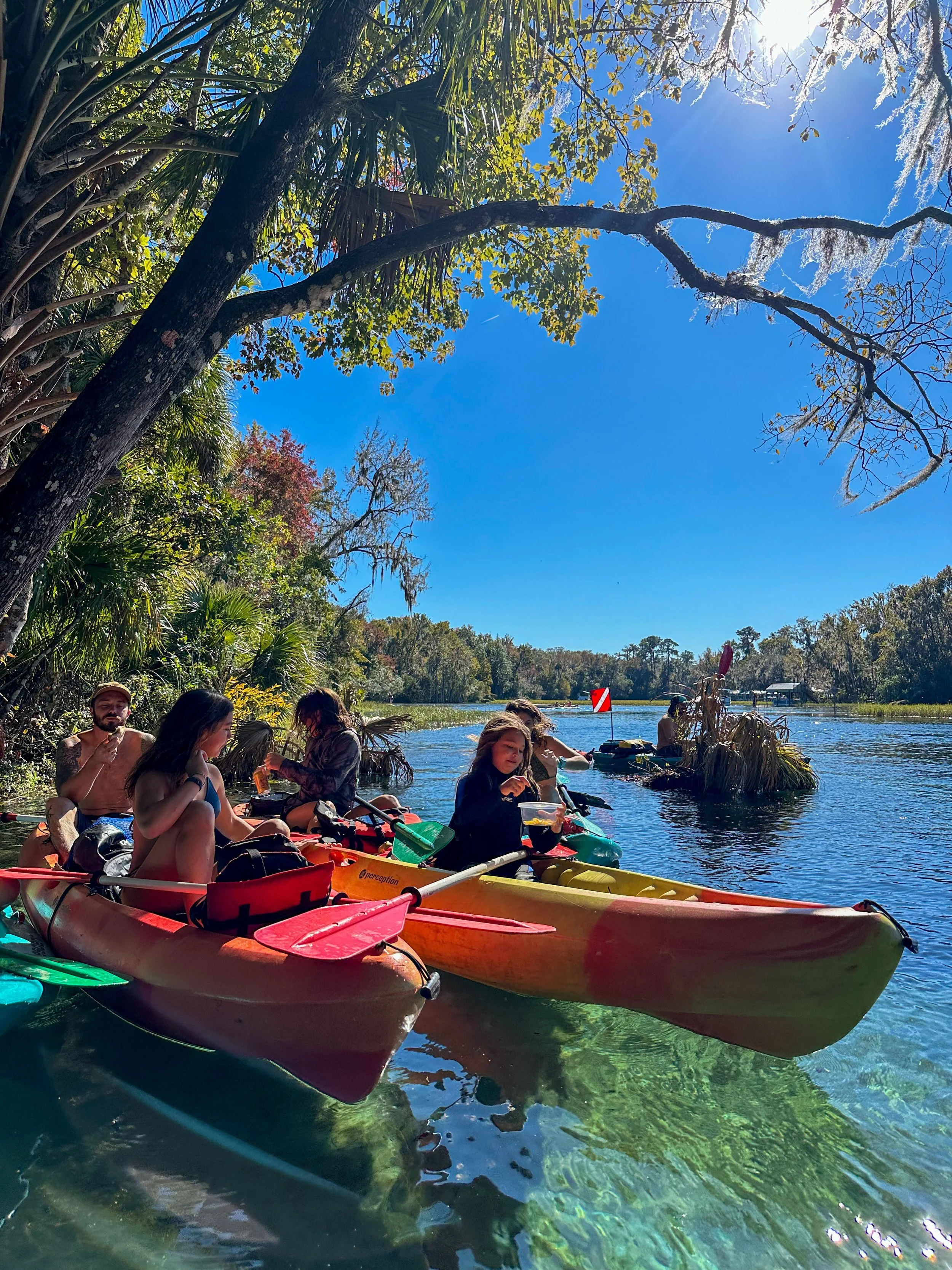 Group of people kayaking on a calm river surrounded by trees with vibrant fall foliage, under clear blue skies.
