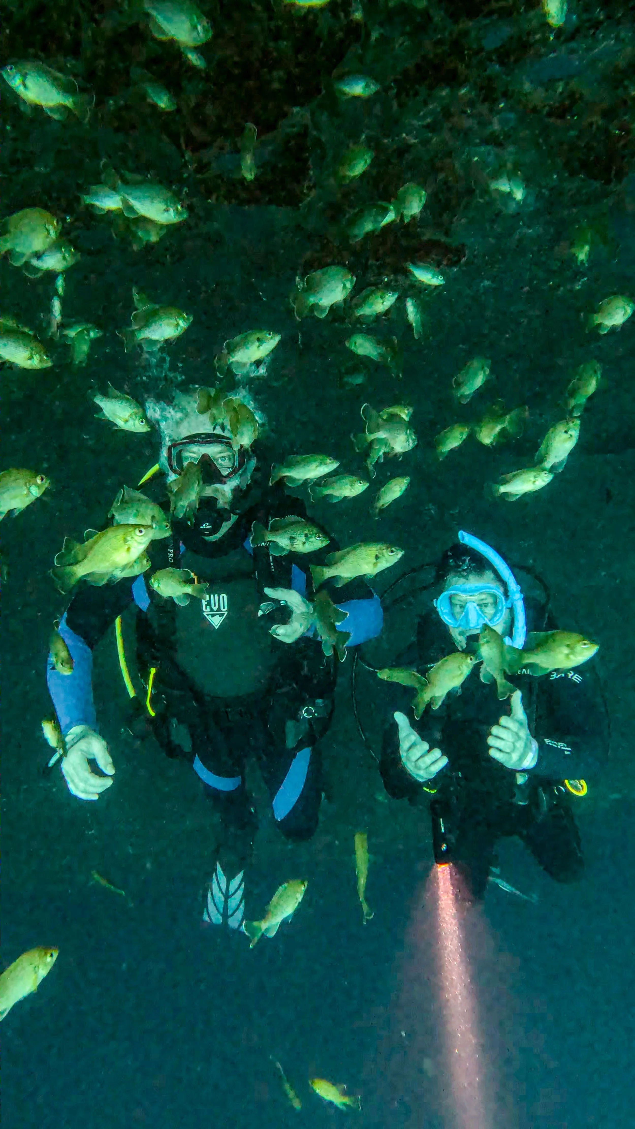 Two scuba divers underwater surrounded by fish, one giving an OK signal and the other giving a thumbs up.