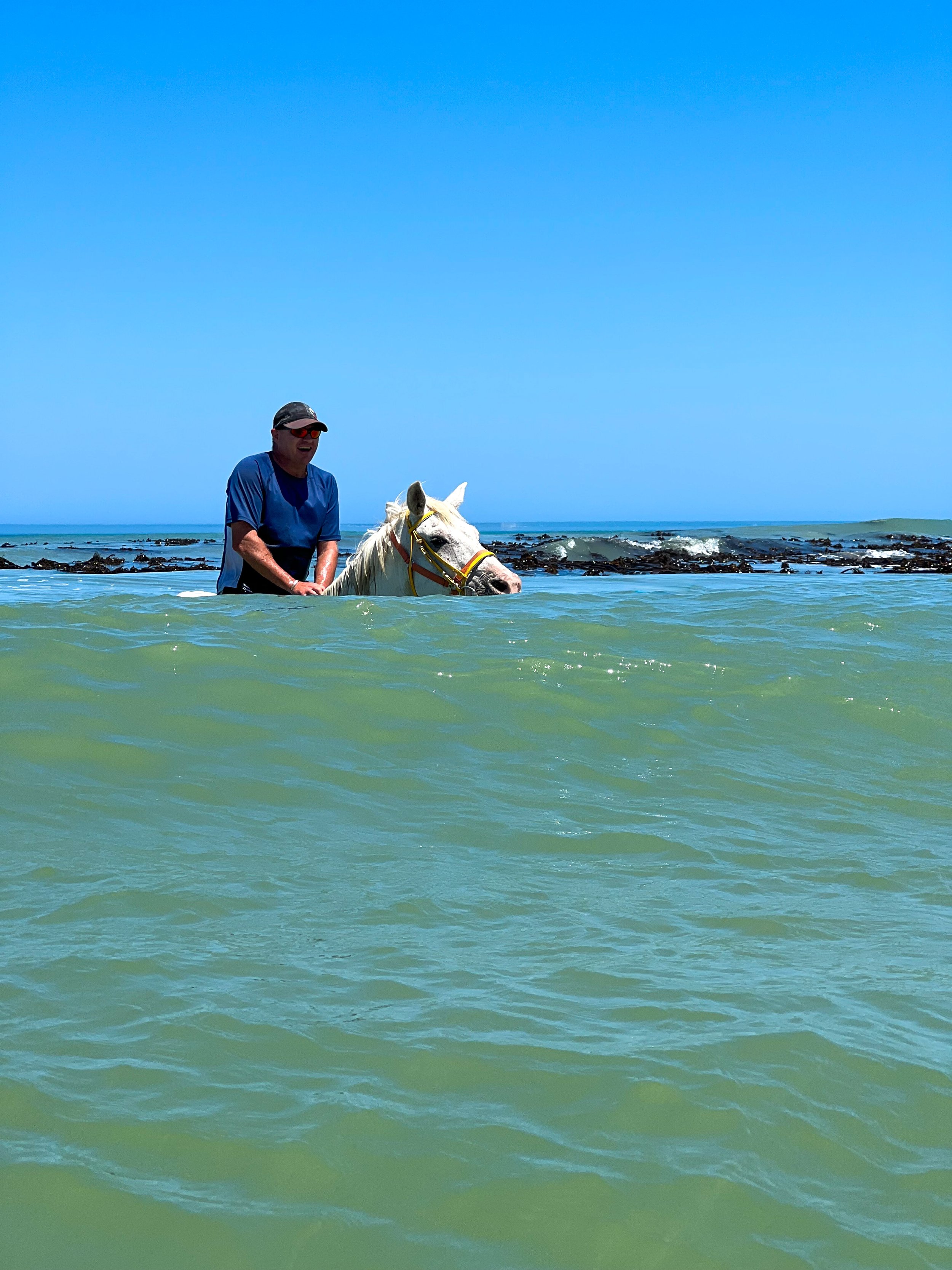 A man riding a white horse in the ocean near a rocky shoreline under a clear blue sky.