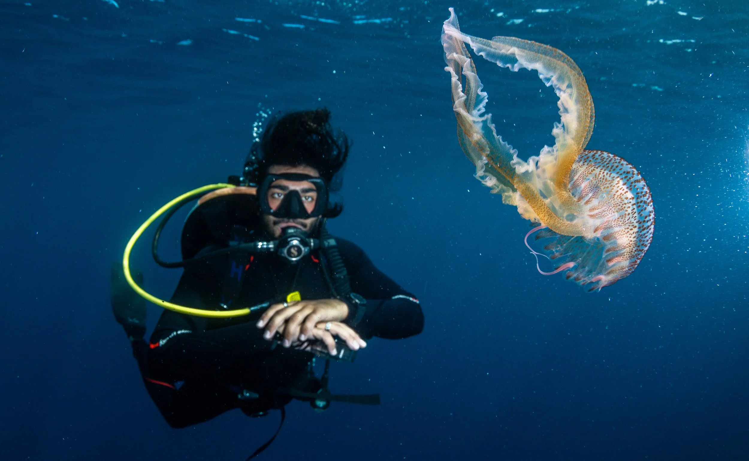 A scuba diver underwater near a jellyfish, with the diver wearing a black wetsuit, mask, and oxygen tank, observing the jellyfish.