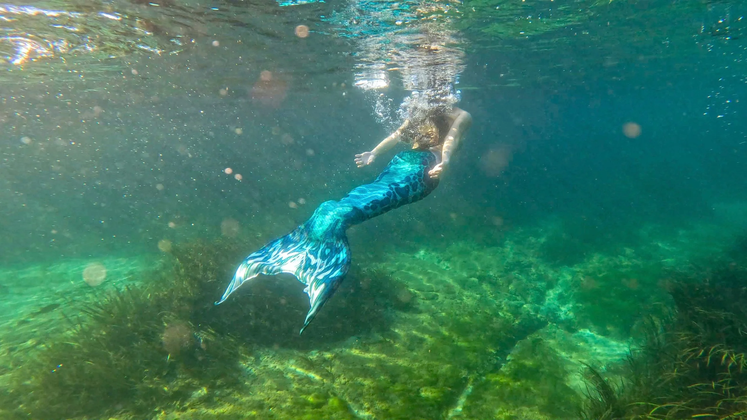 A child swimming underwater dressed as a mermaid with a blue fin, surrounded by clear water and aquatic plants.