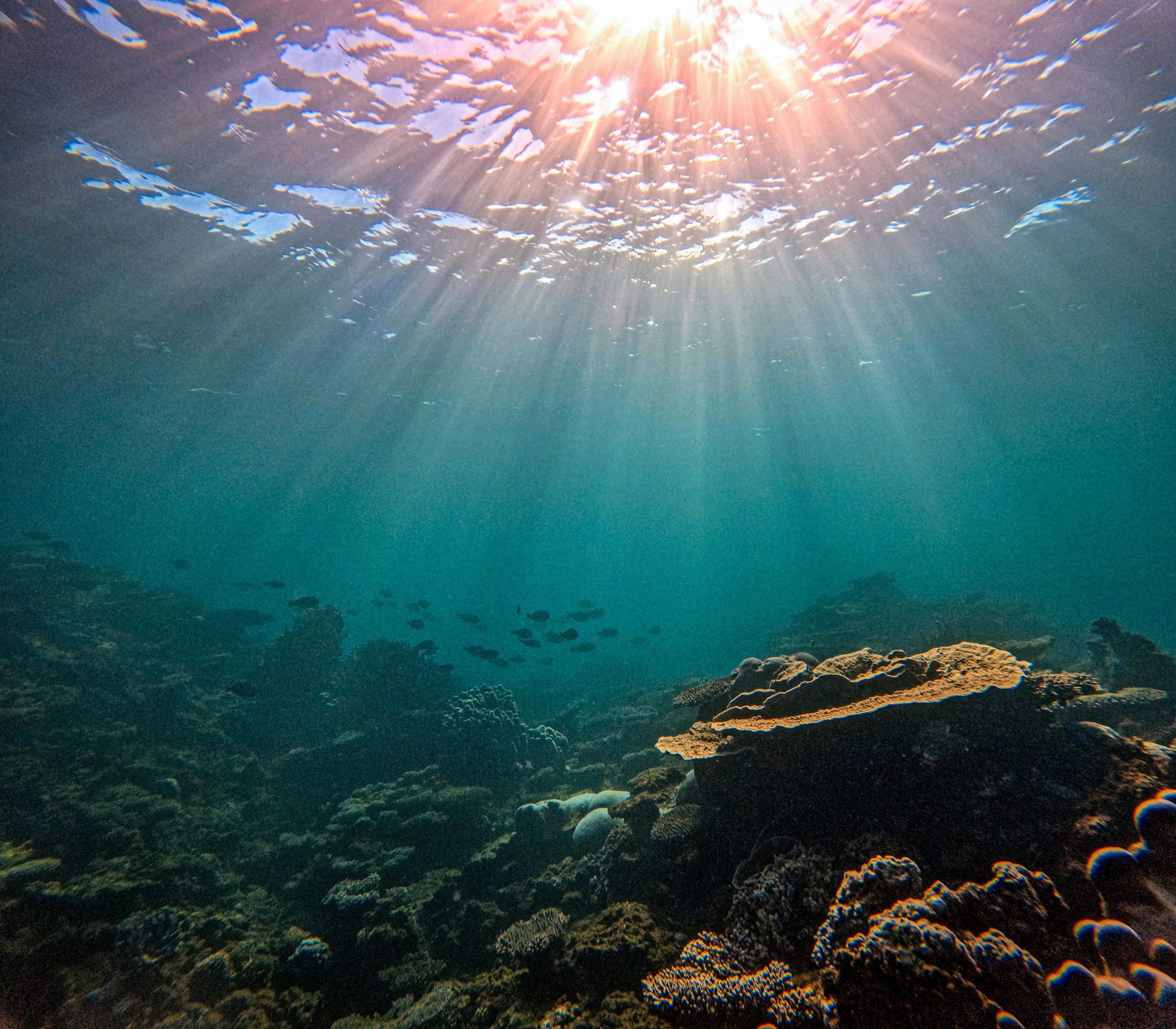 Underwater view of coral reef with sunlight rays penetrating through the water surface.