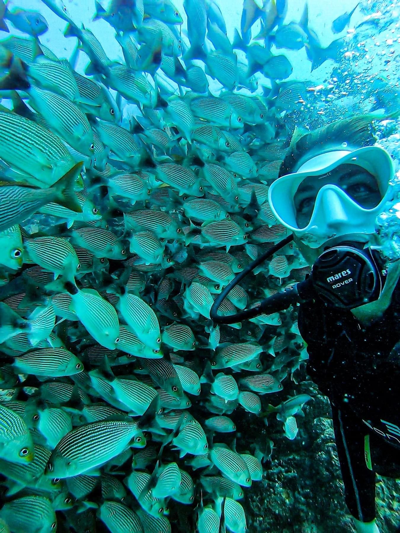 A scuba diver with a mask and breathing apparatus underwater surrounded by a large school of striped fish.
