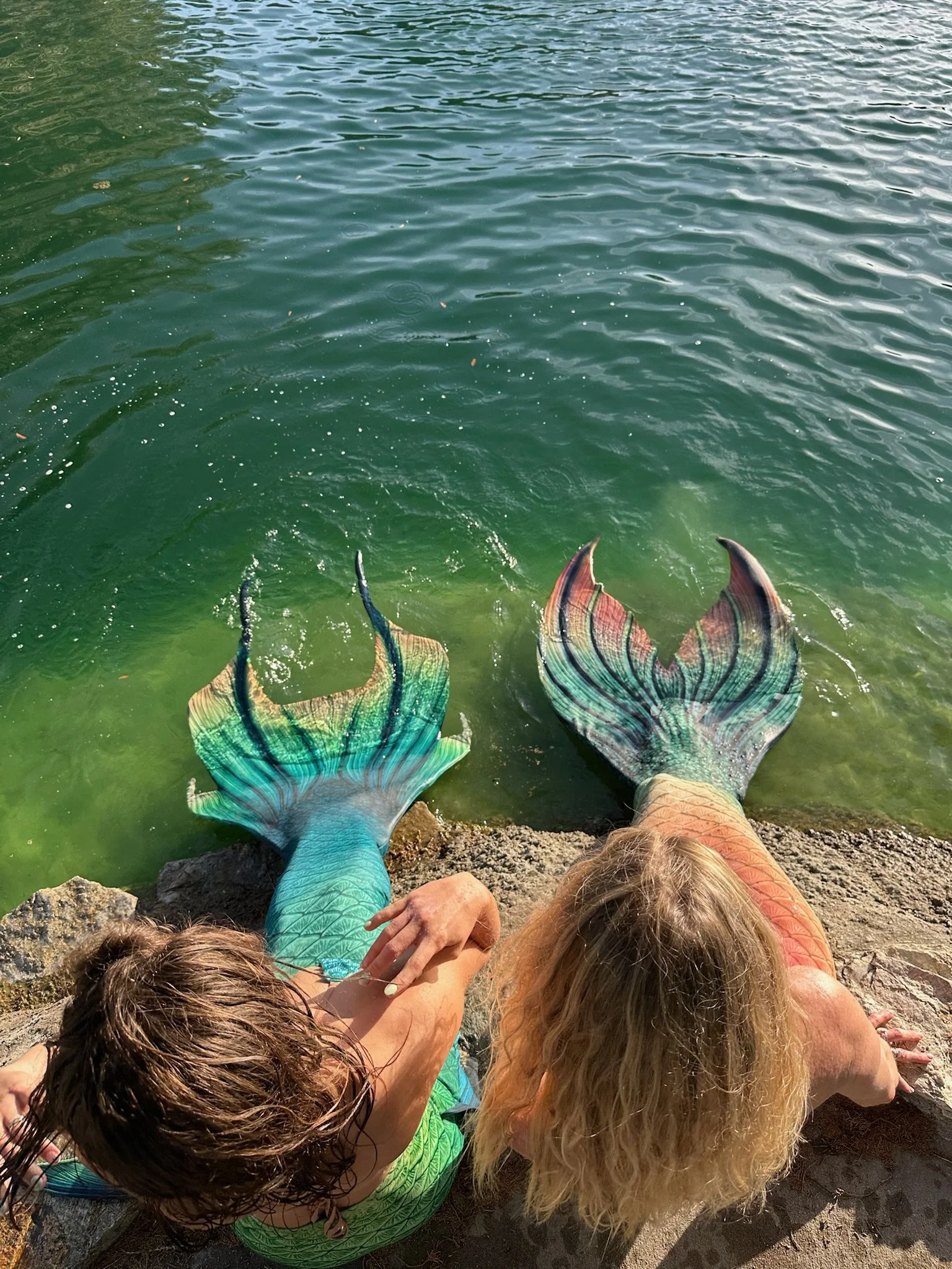 Two people with mermaid tails sitting on a rocky shoreline with their feet submerged in green water.