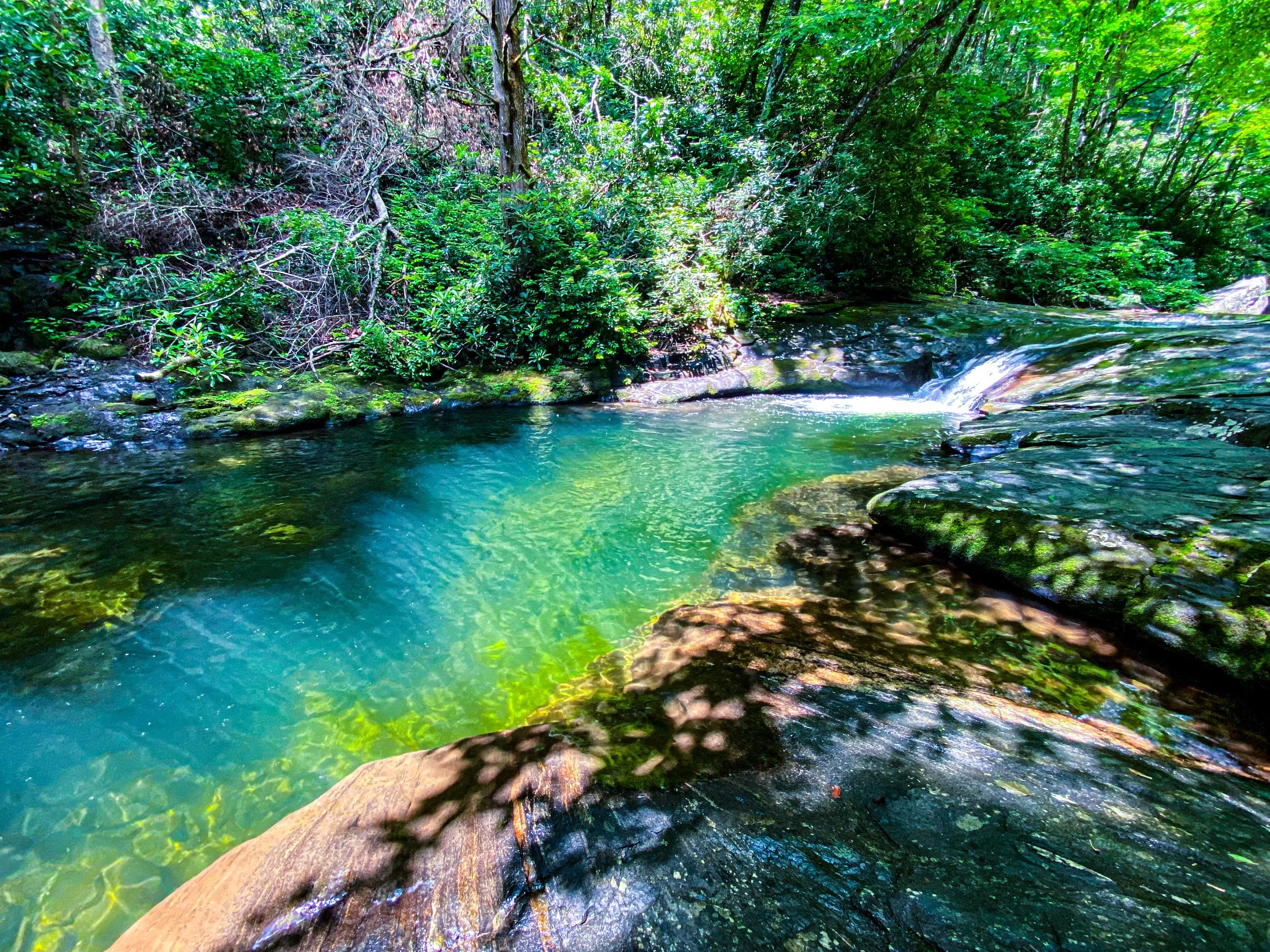 A clear, greenish blue river flowing over rocks in a lush, green forest setting with sunlight filtering through the trees.