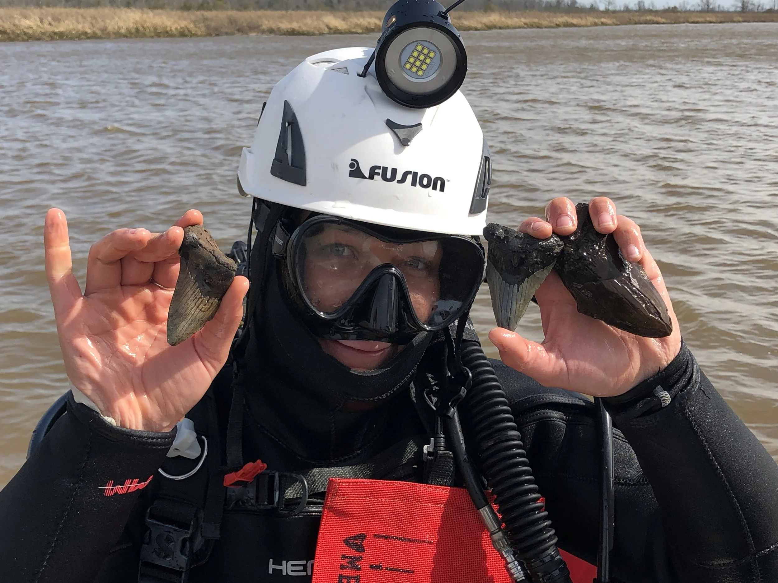 A person dressed in scuba gear holding a fossil or shell in each hand while standing in water.