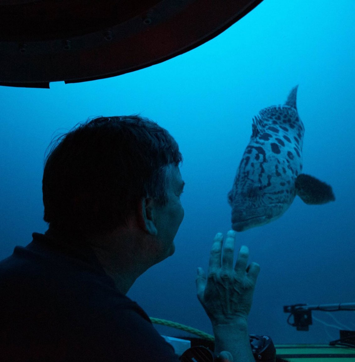 A person in a wetsuit underwater touching a fish through a glass window of a submarine or aquariums exhibit.