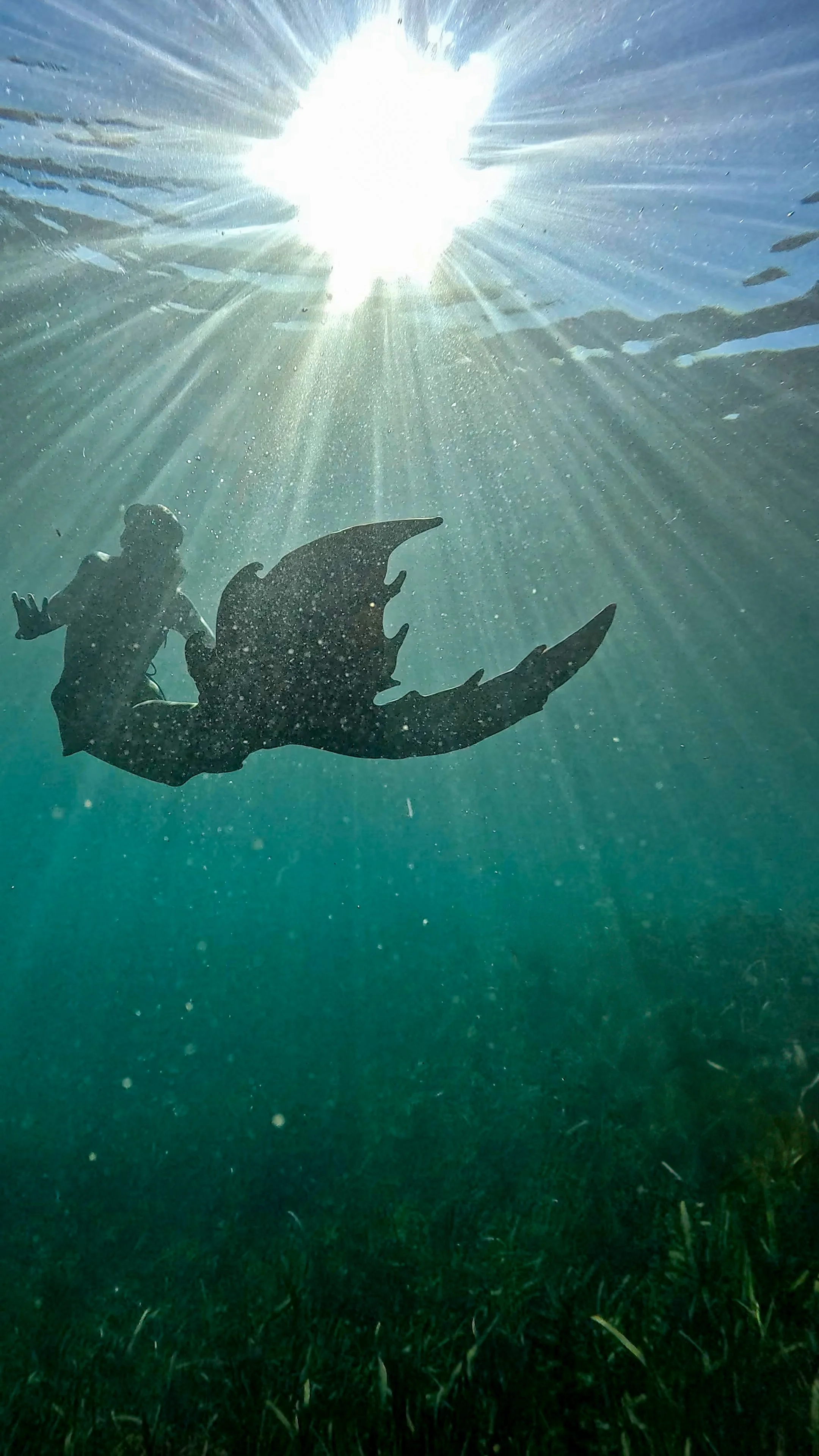 A person in an animated costume with dragon wings, underwater, with sunlight shining through the water, near a grassy ocean floor