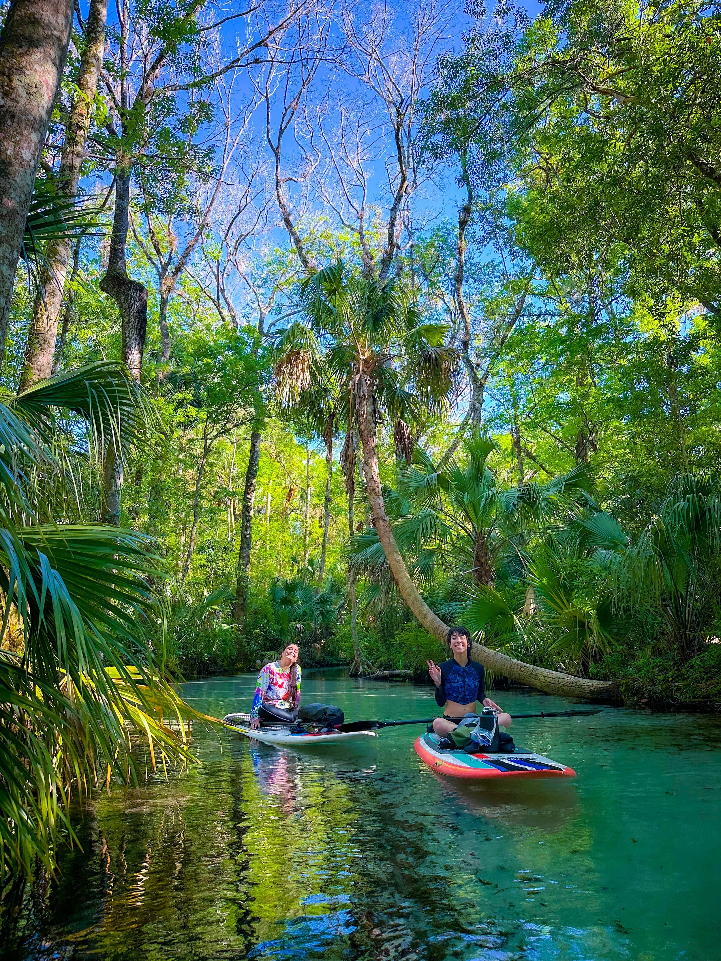 Two women paddleboarding on a clear, calm river surrounded by lush green tropical trees and plants, with a vibrant blue sky overhead.