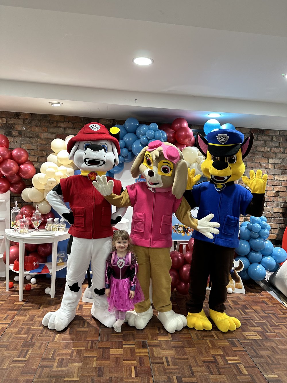 Paw Patrol Characters Hire