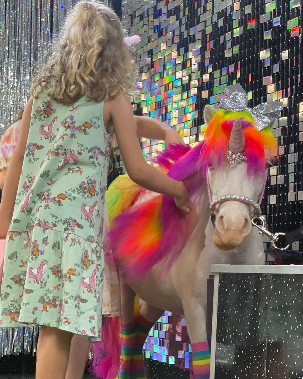 Party unicorn hire