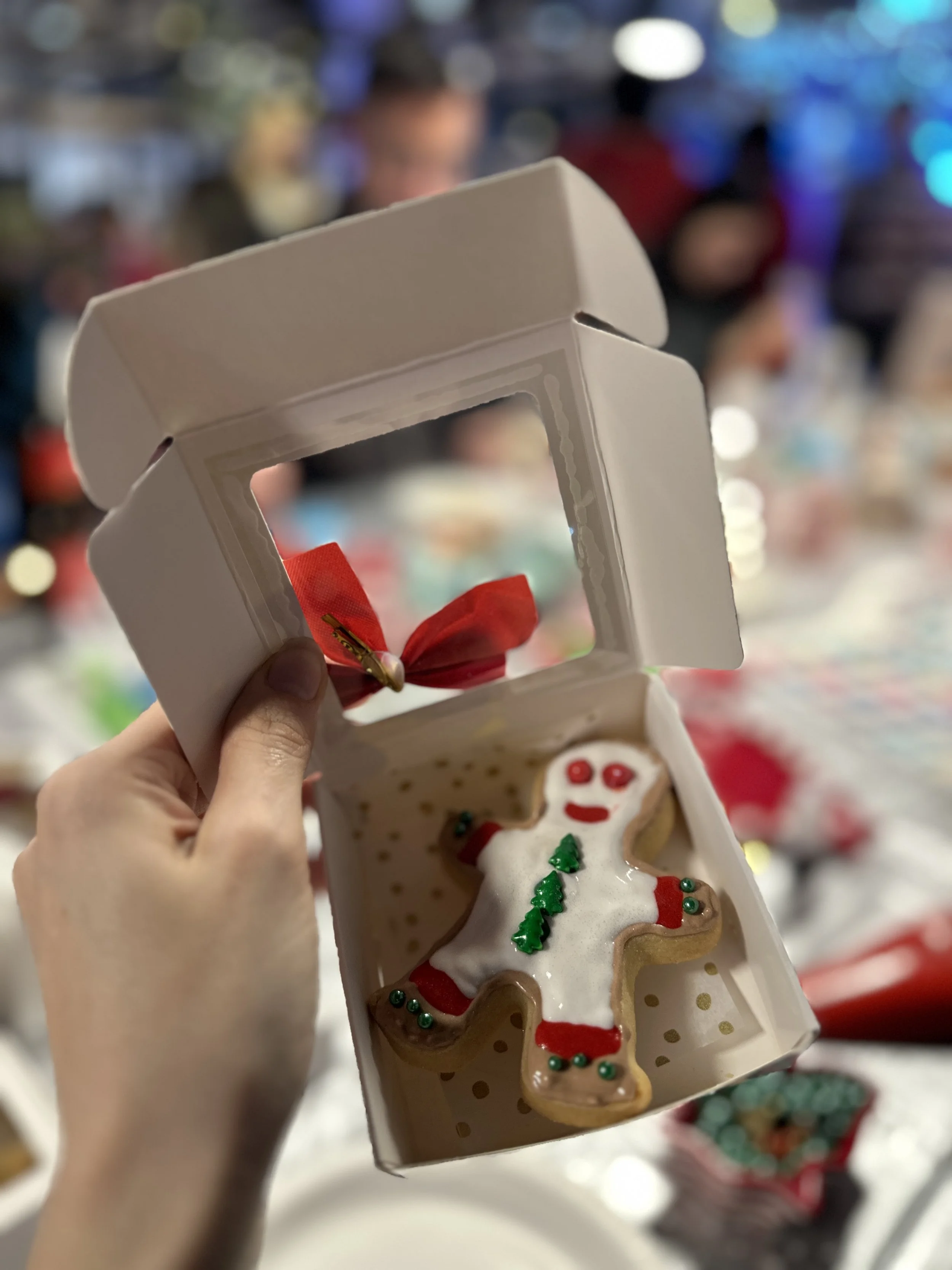 Christmas cookie decorating workshop