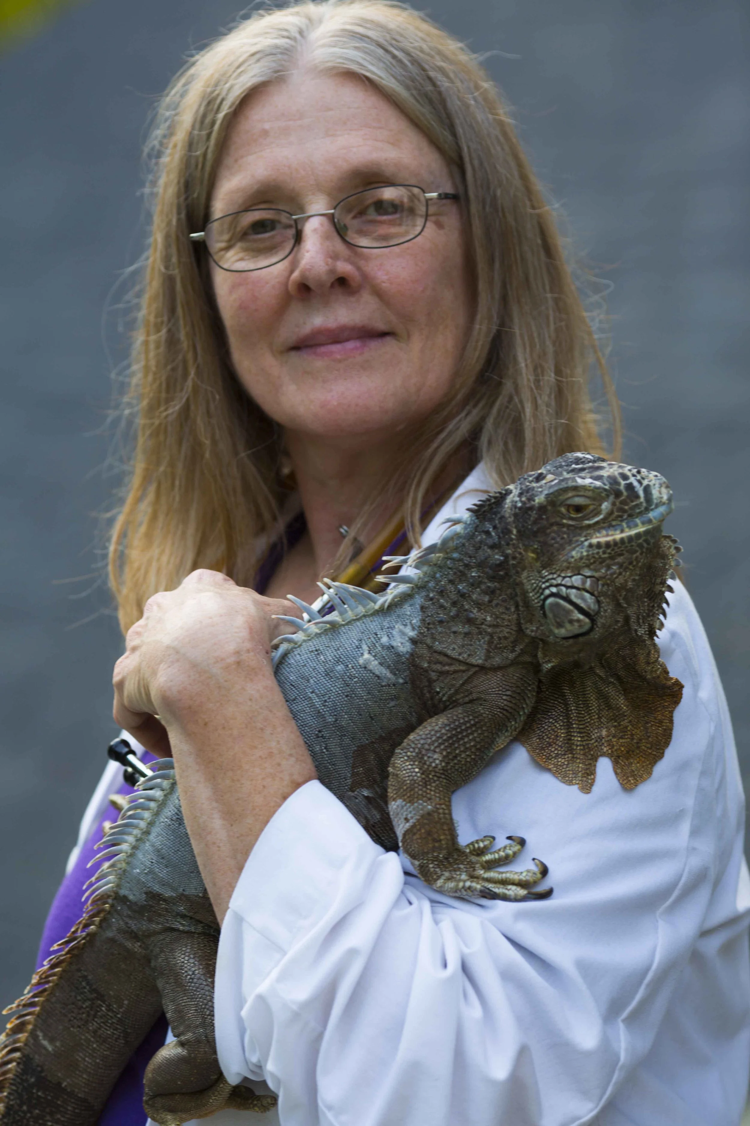 robin elms dvm.jpg