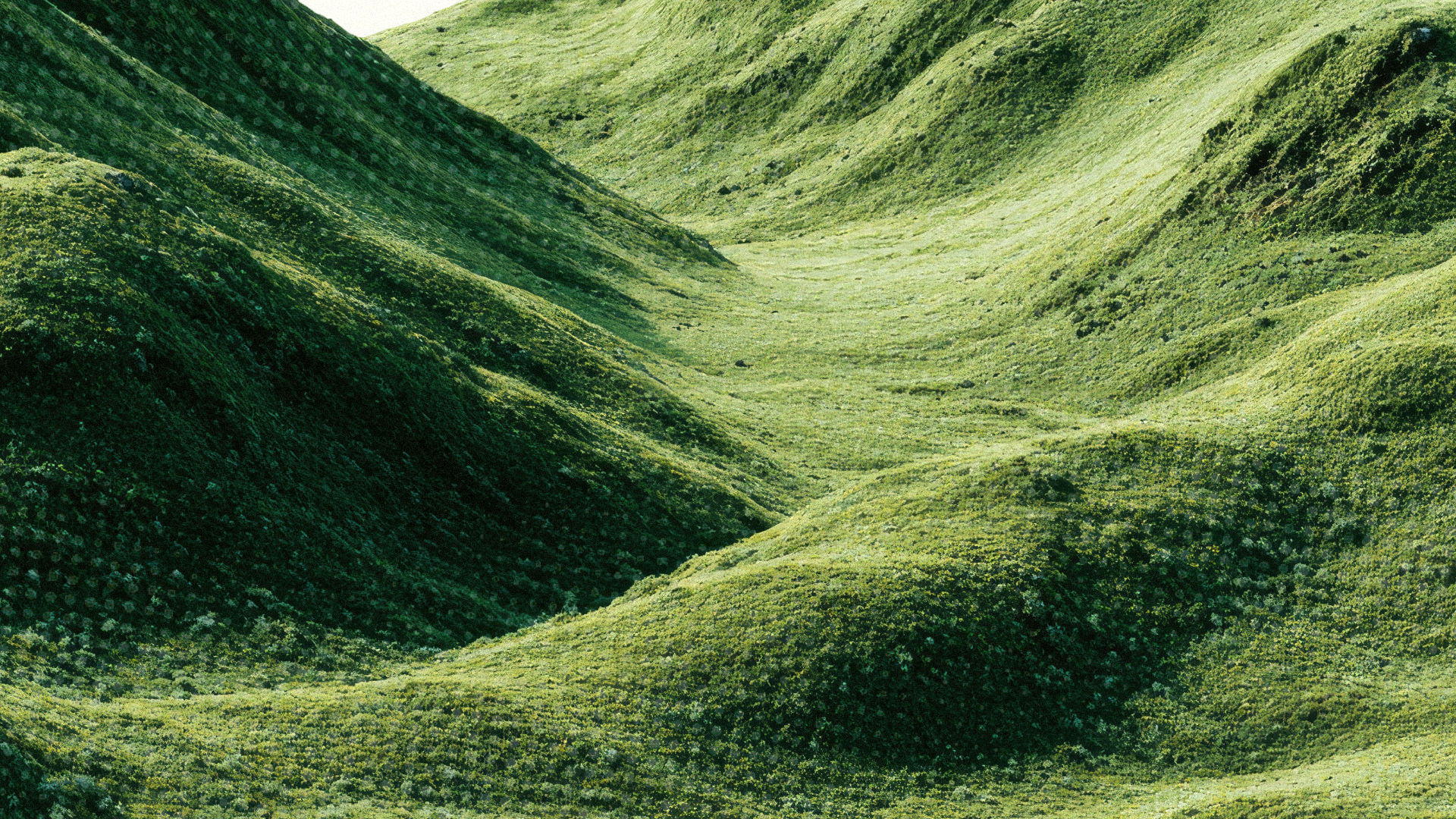 Sermon on the Mount | Background zoom.png