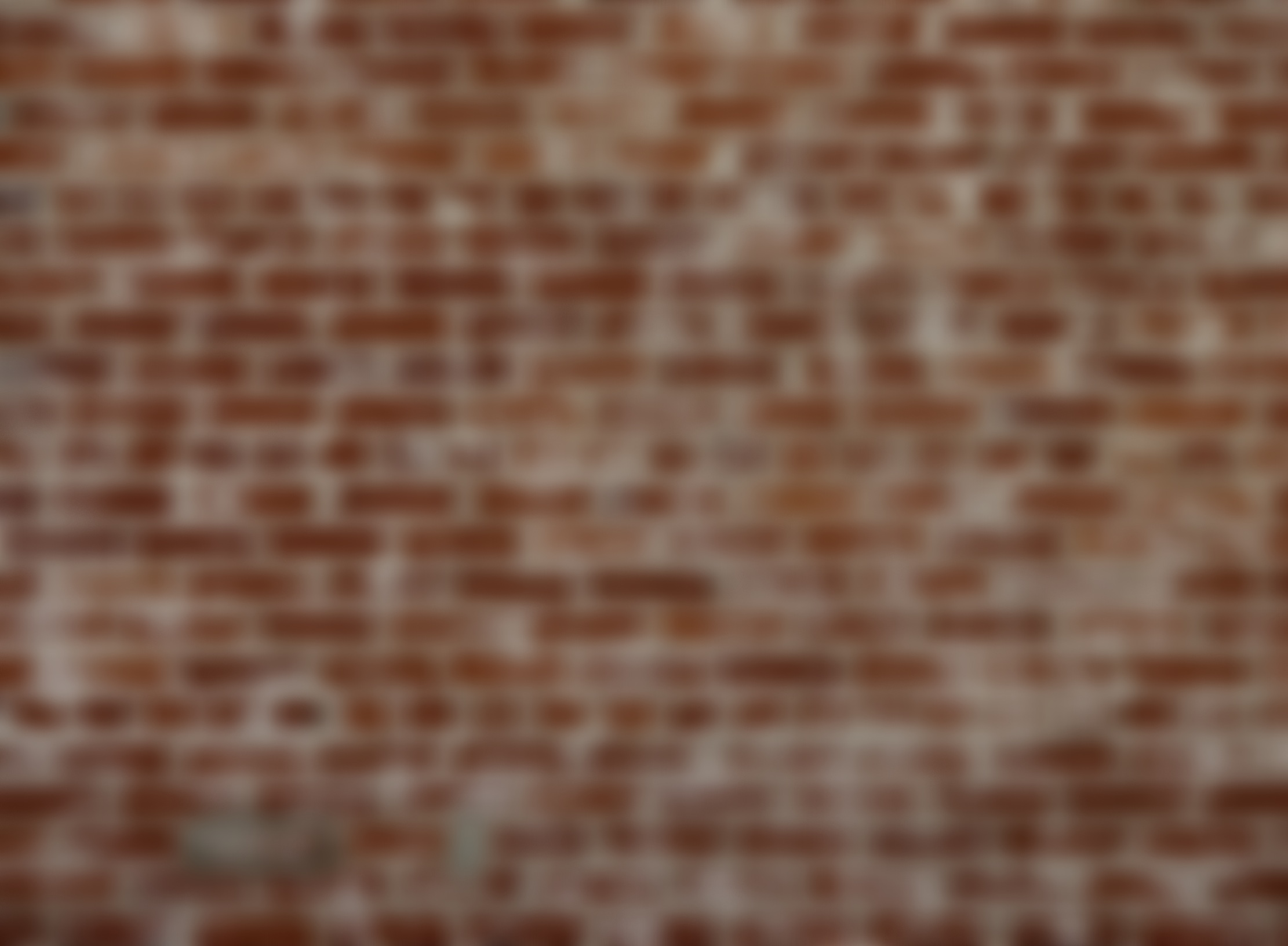 Brick+Wall+5.jpg