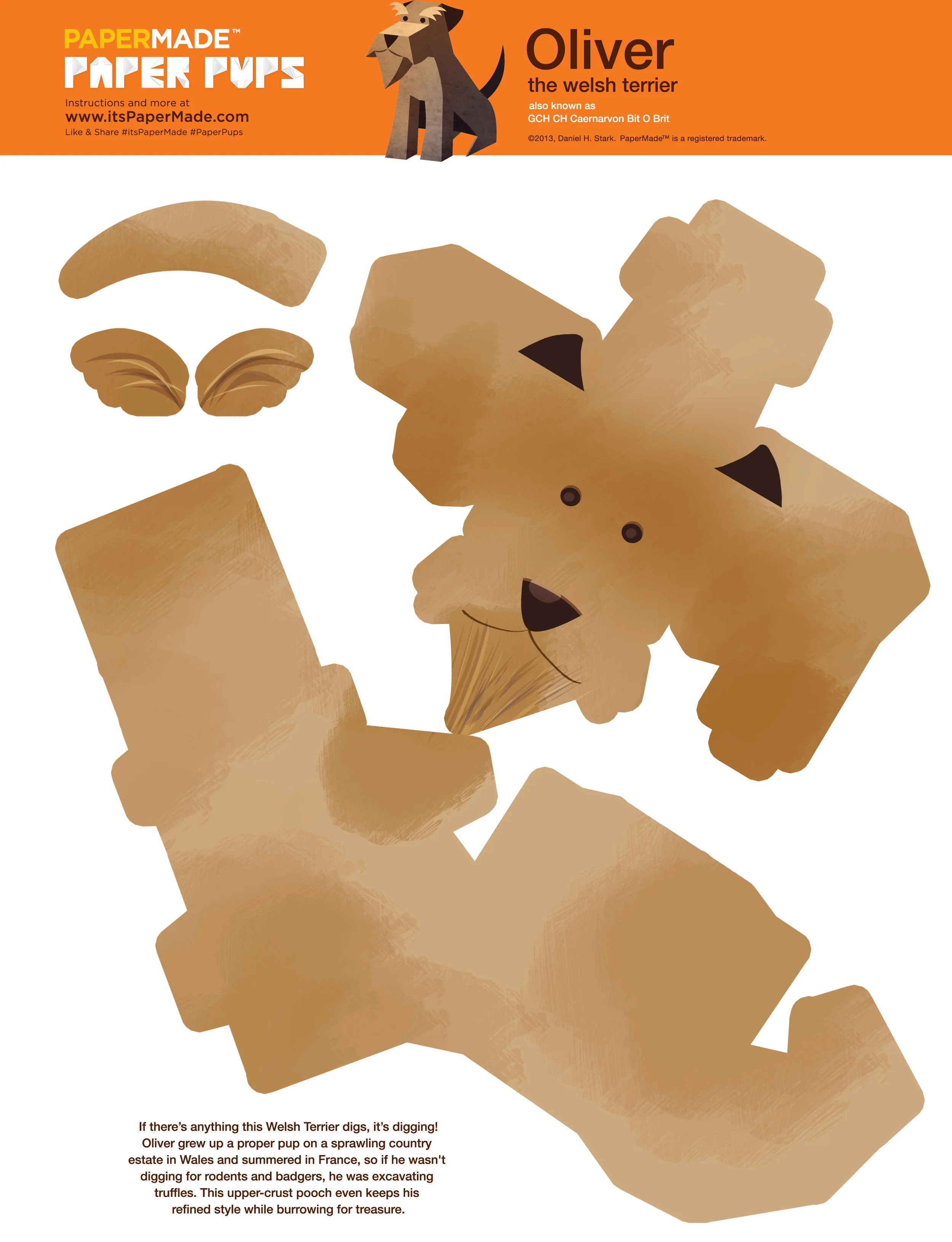 04 PM Welsh Terrier.jpg