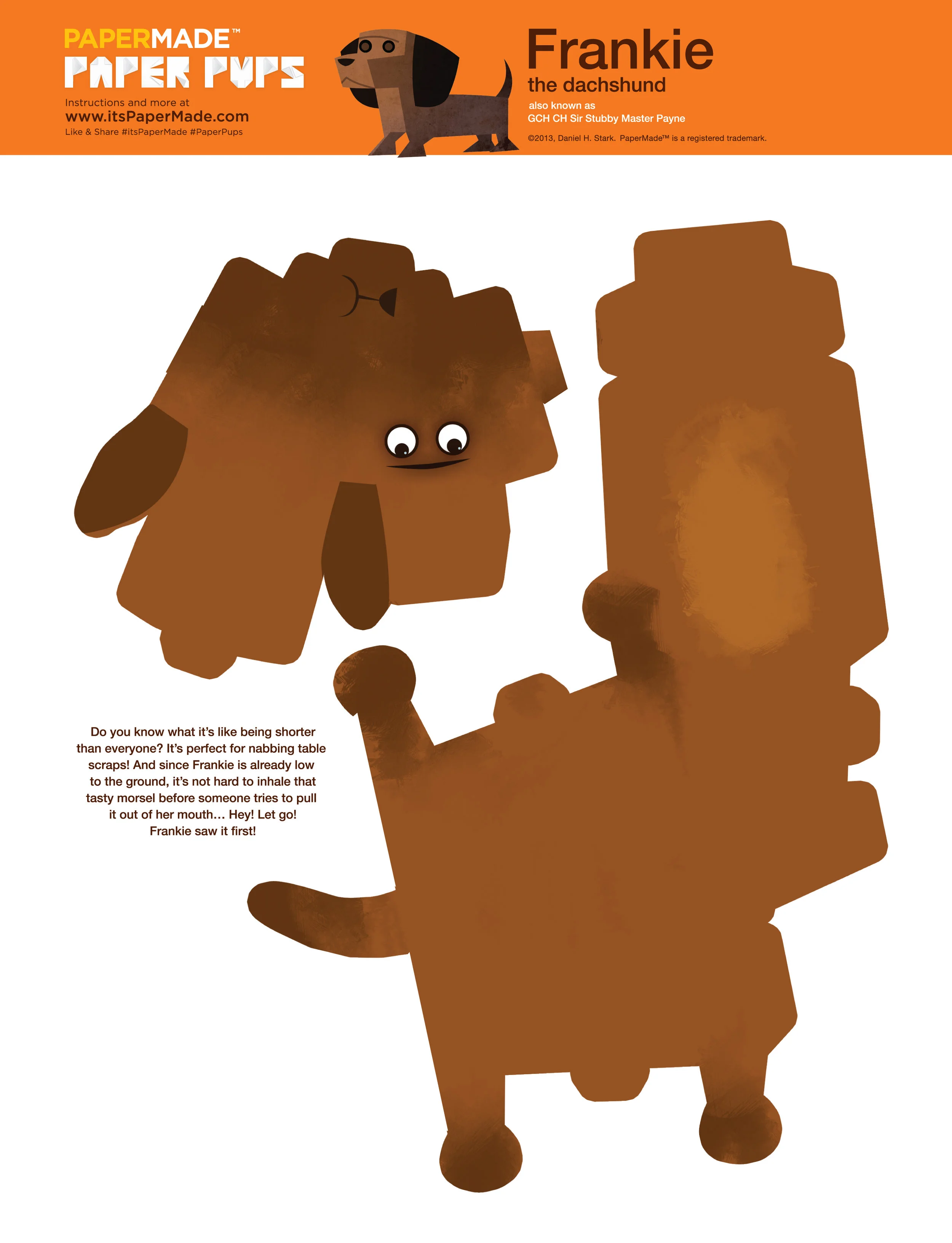 14 PM Dachshund.jpg