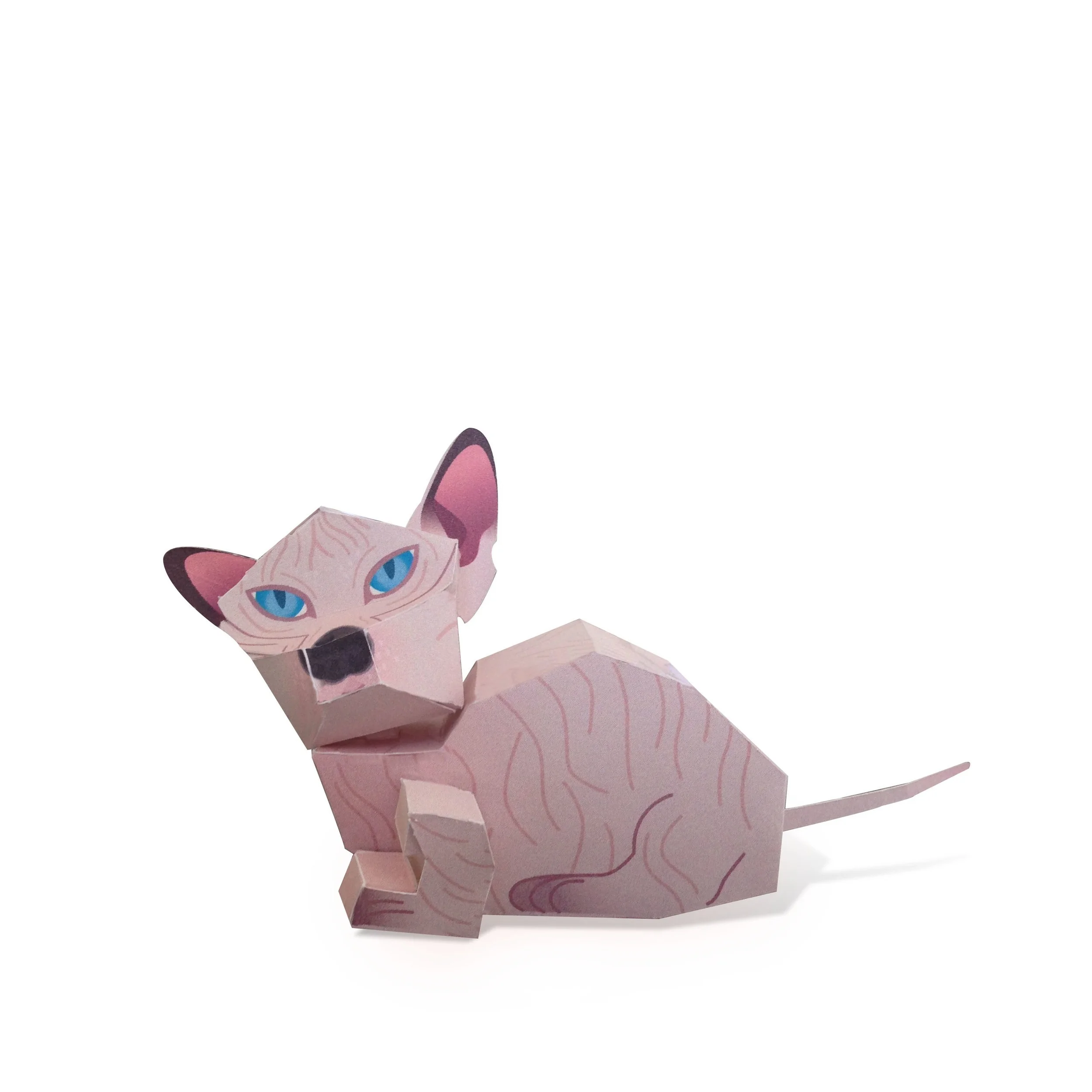 06%2BSqueaky-1.jpg
