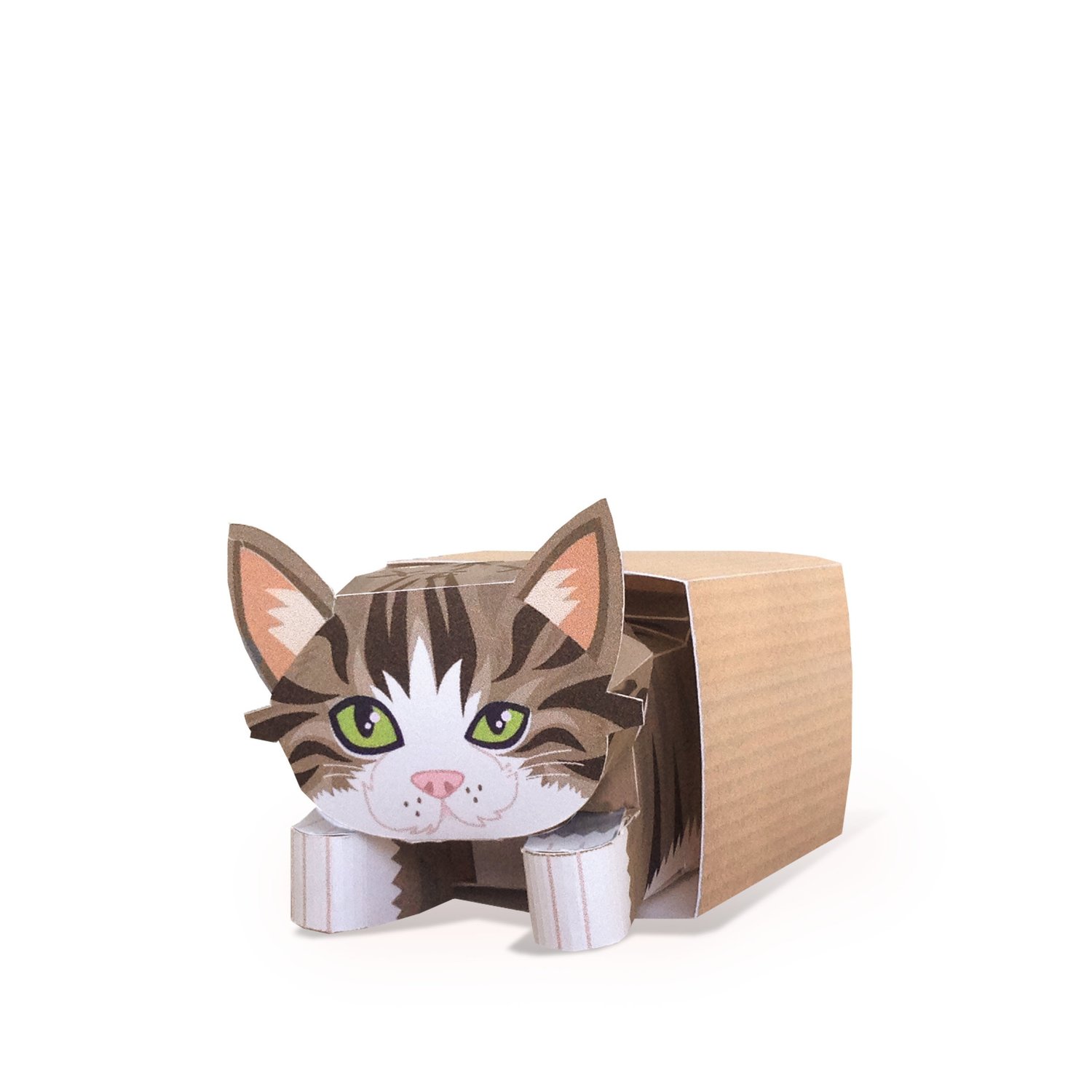 Maru (and box) — PAPERMADE™