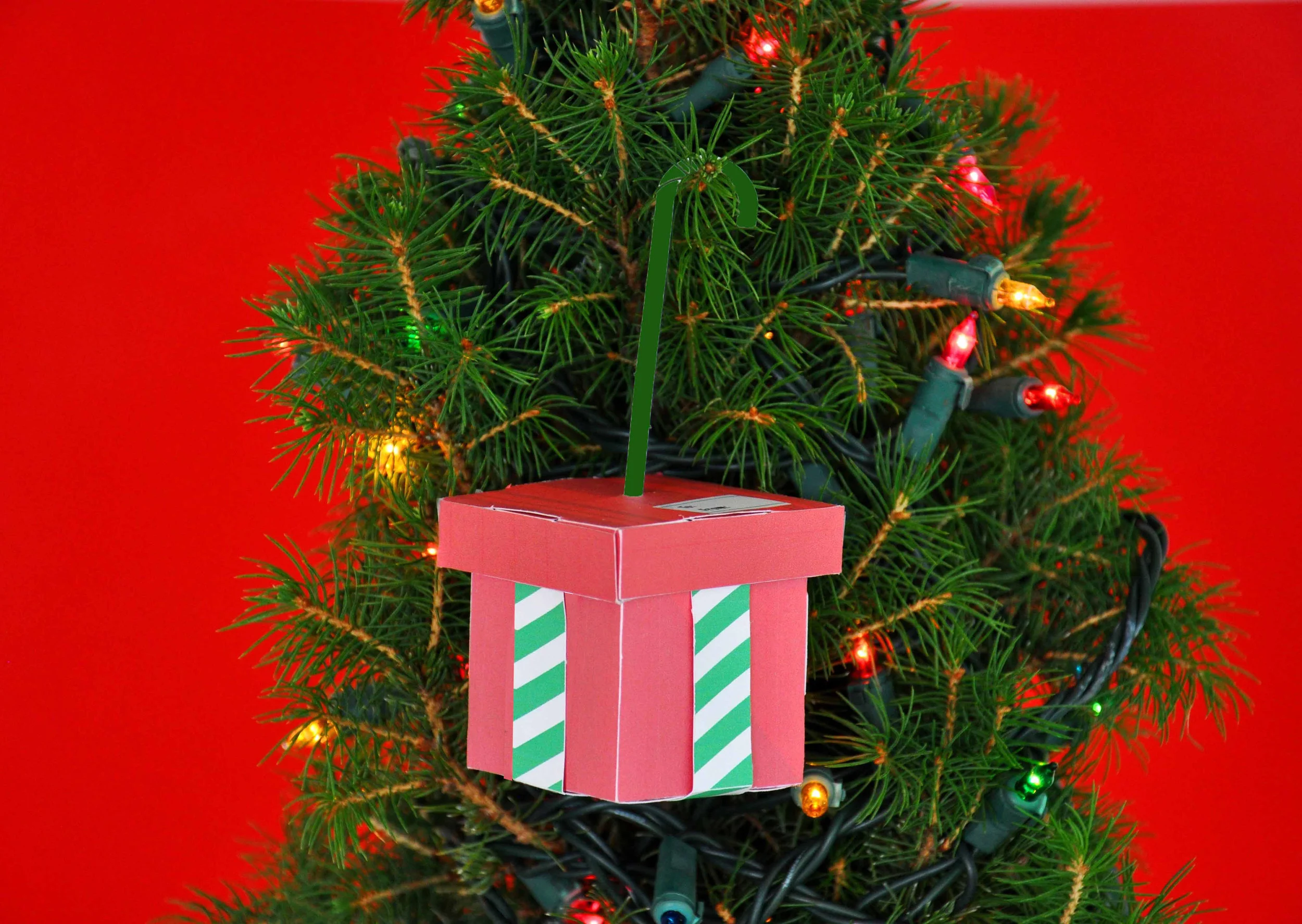 PaperMade Holiday Gift.jpg