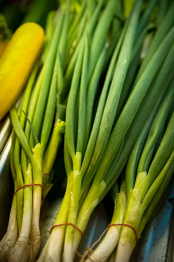 TEMPO Photography - Currie's Market-6214.jpg