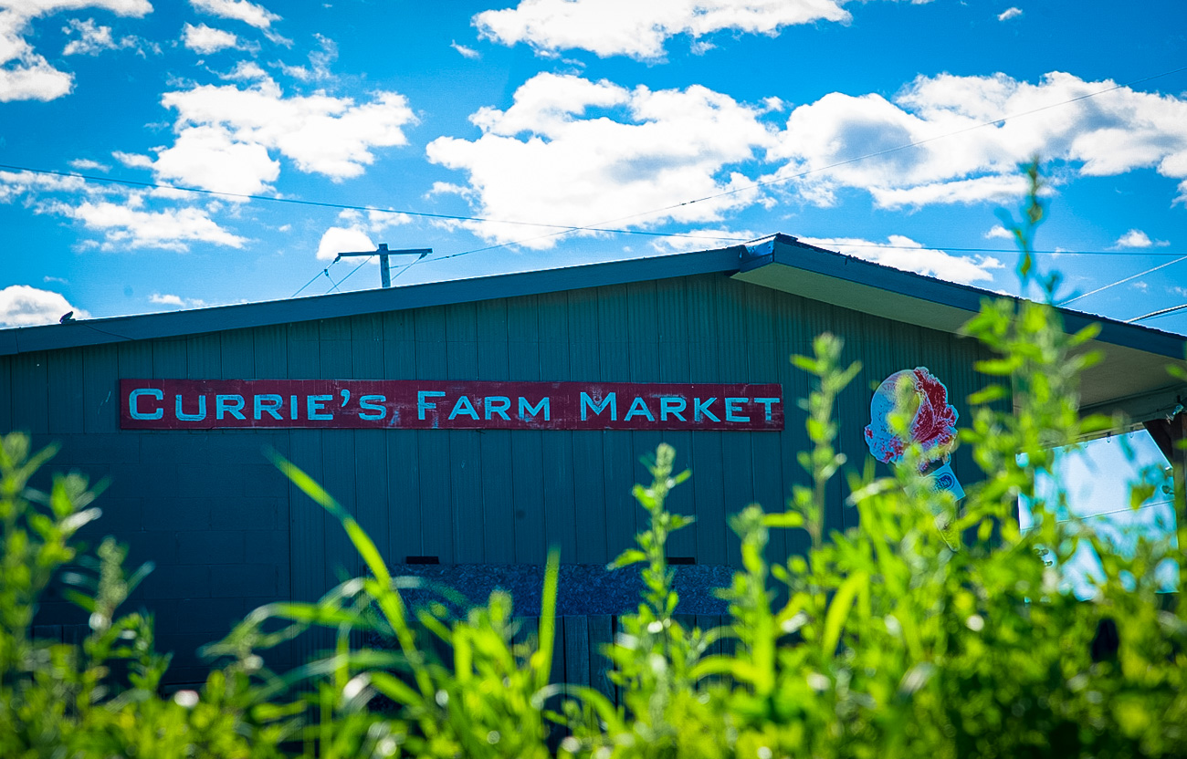 TEMPO Photography - Currie's Market-6167.jpg
