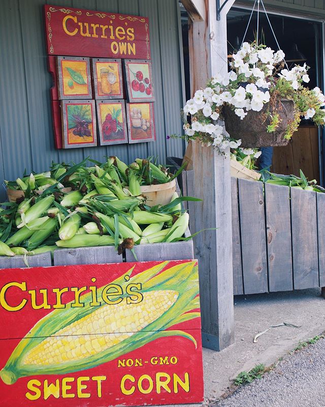 Come visit us for curries own corn while it lasts🌽! #supersweet #nongmo
