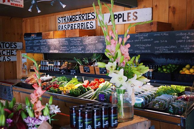 Savour the summer harvest season while it lasts🌞Come visit us for curries own potatoes, tomatoes, and our best beans ever! #farmfresh #eatlocal #organic