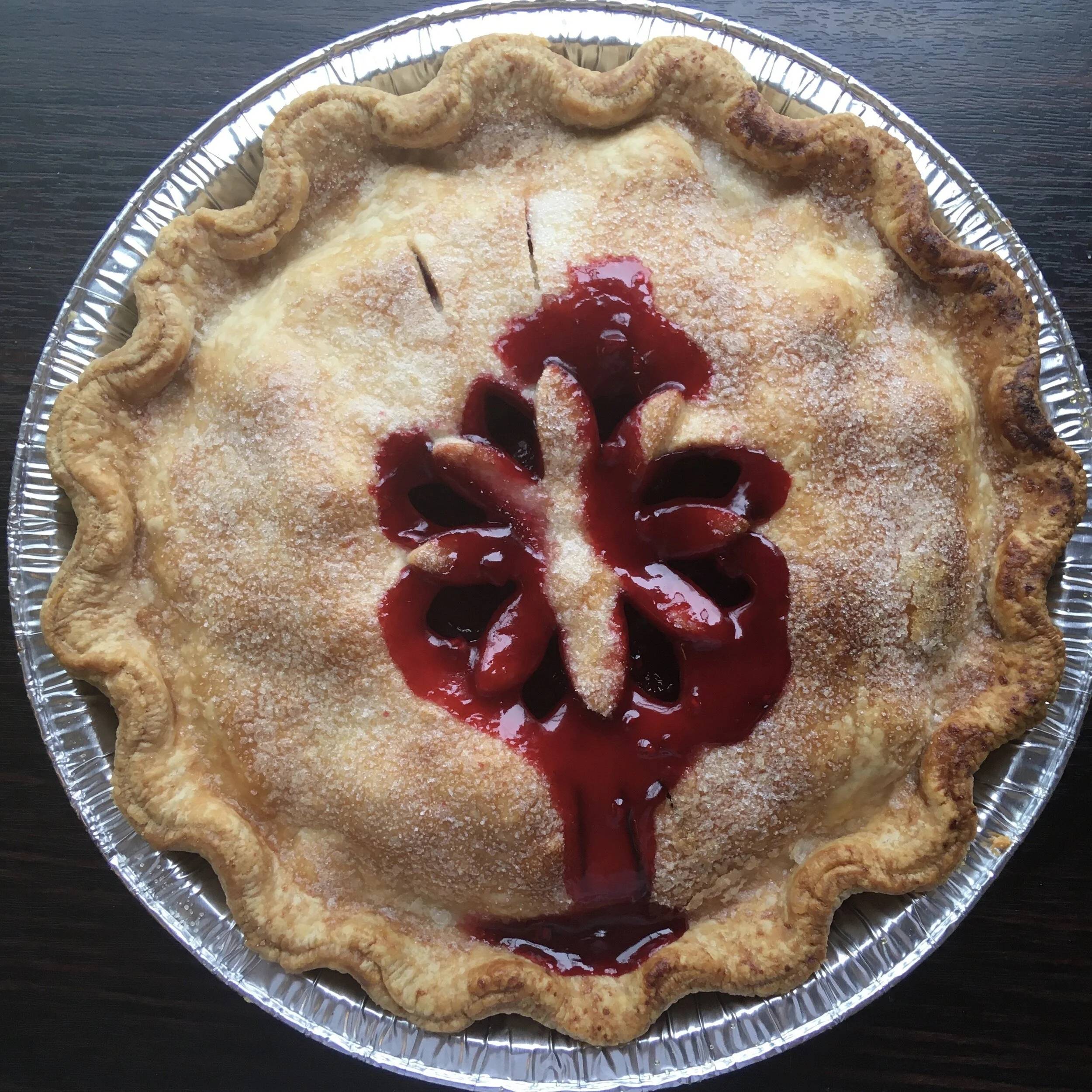 Blackbird Raspberry Emma .jpg