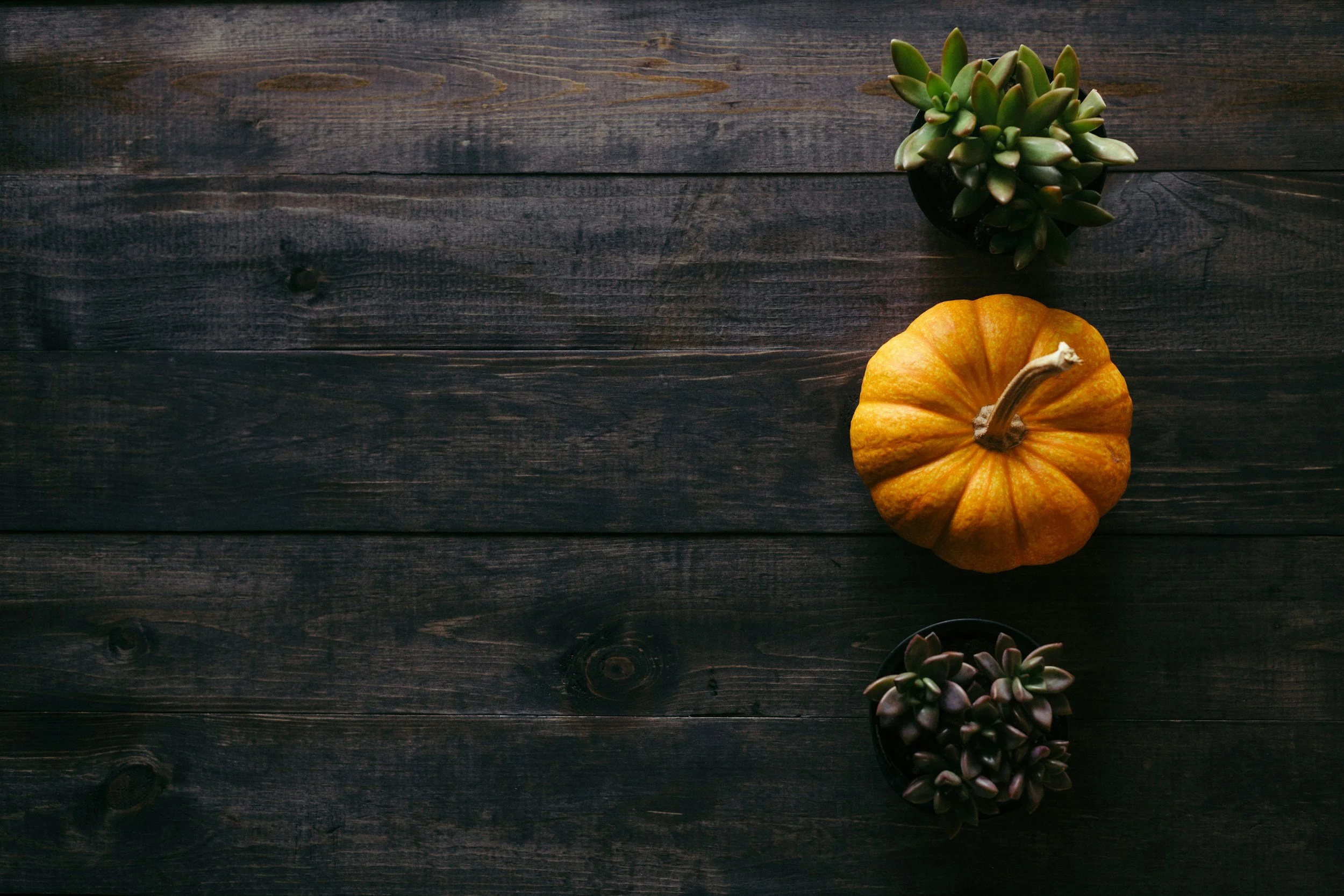 unsplash-image-hoxqcGUheeo.jpg