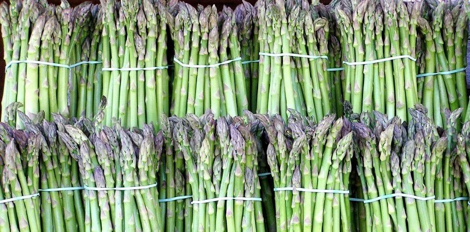 asparagus.jpg