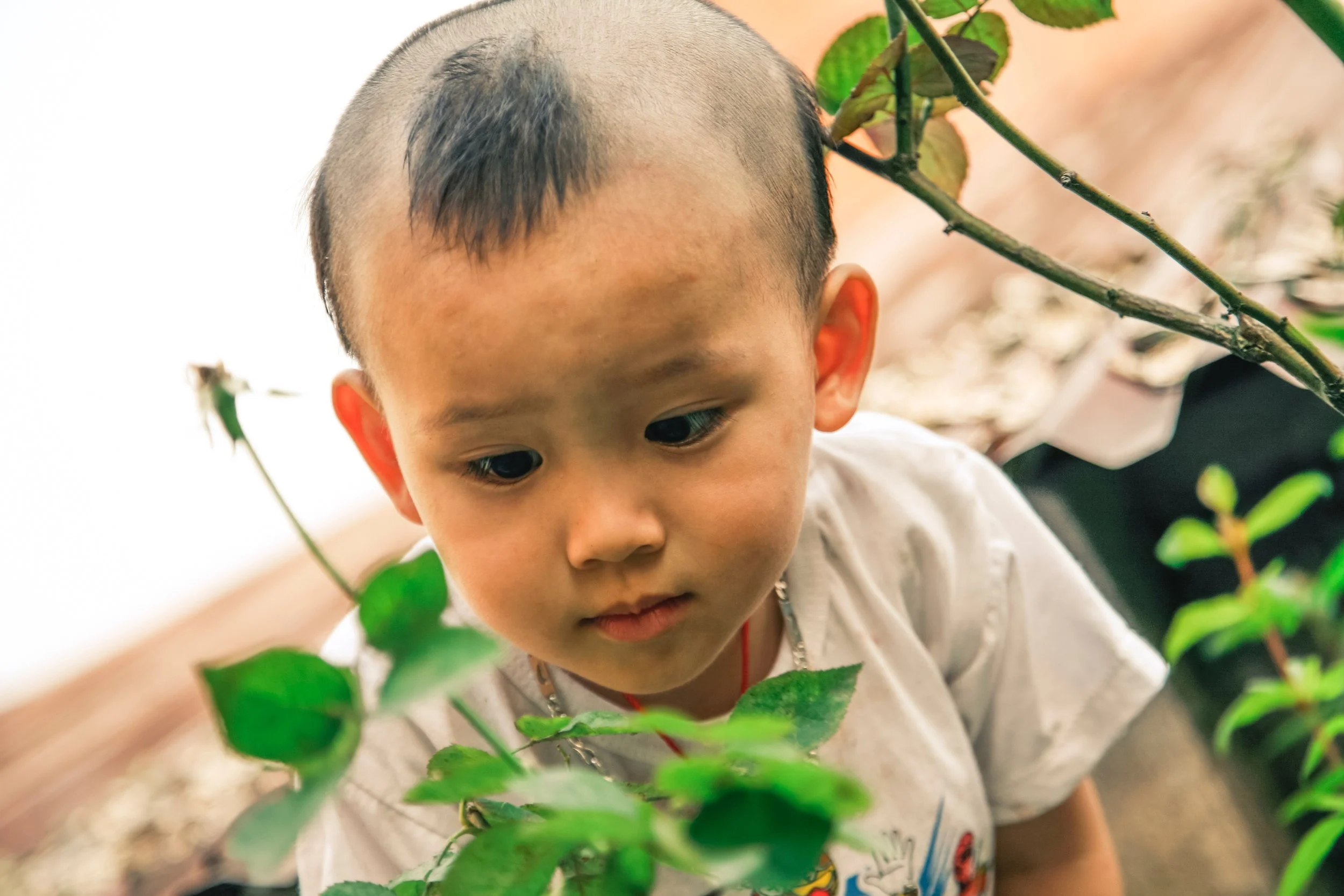 tong-nguyen-van-672637-unsplash.jpg
