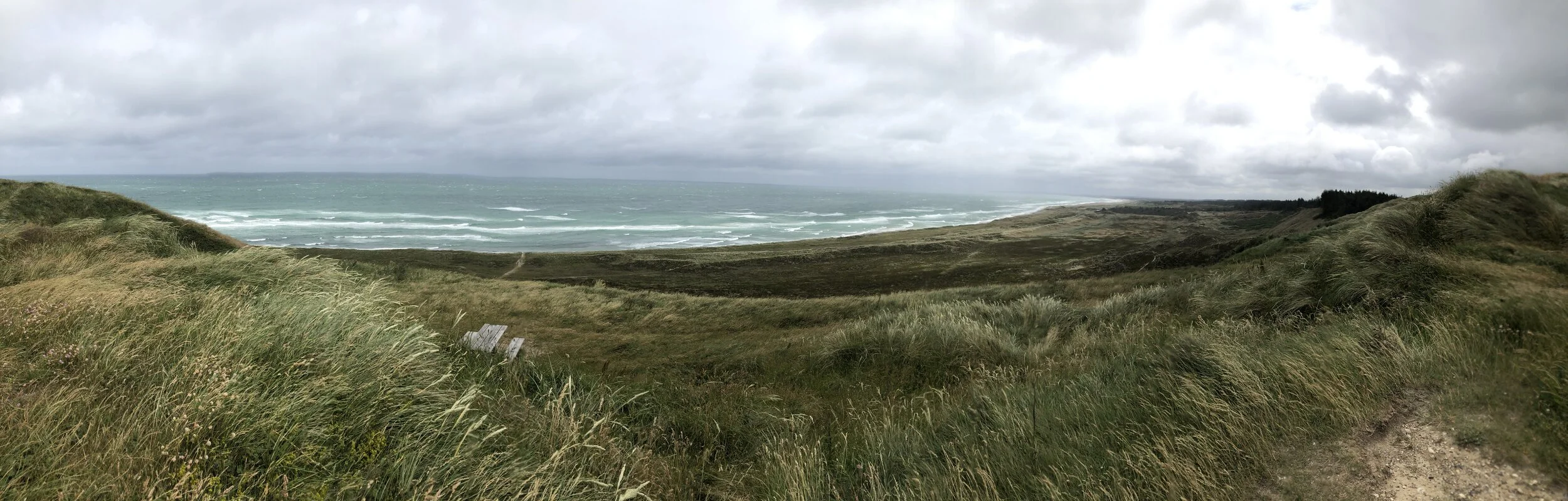 Billede 04-07-2019 12.16.57.jpg