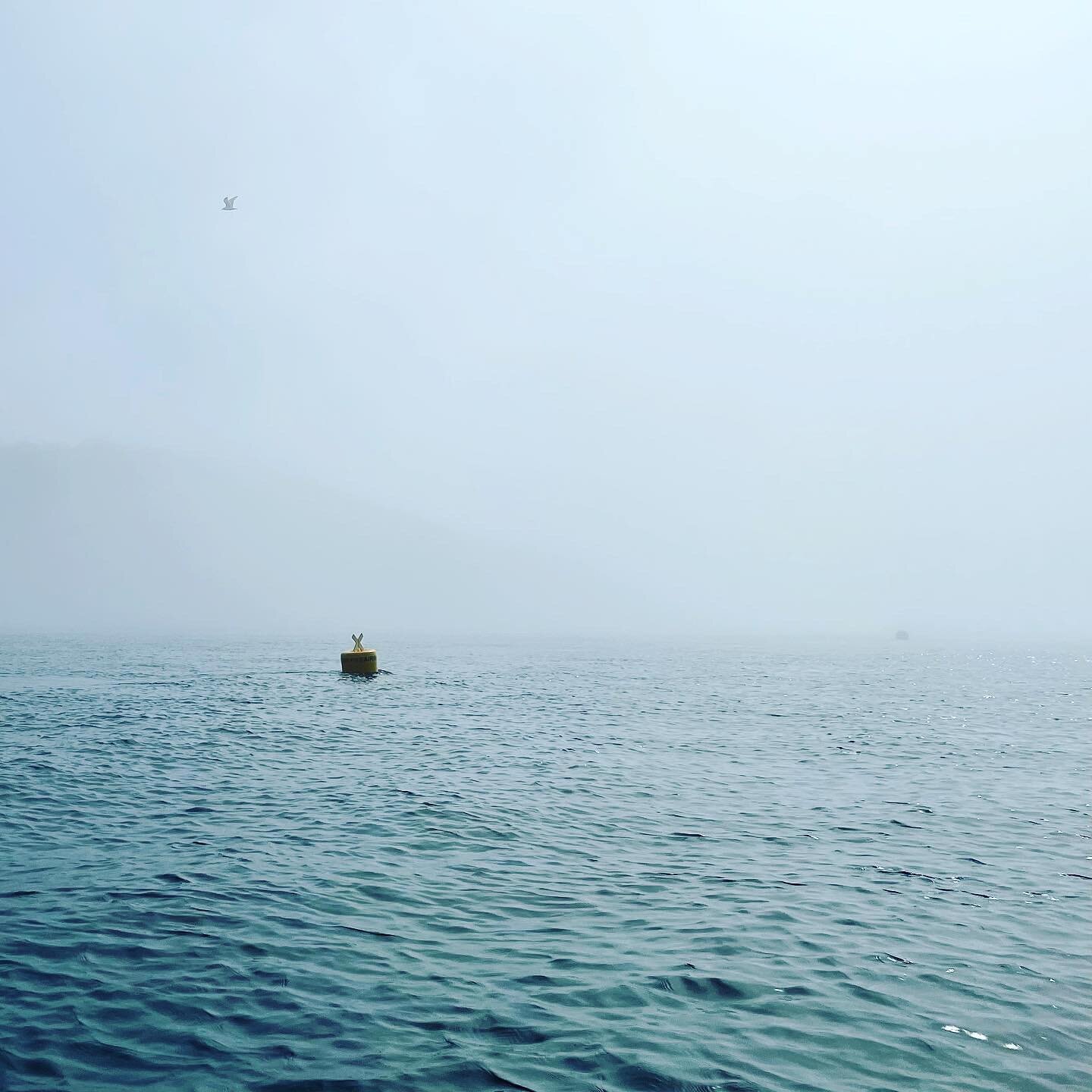 Sea mist rolling in&hellip; 🎣🐟🐠

#bookstagram #book #booktok #bookrecommendations #booklove #writerscommunity 
#bookclub #writing #readersofinstagram #read #novel #fictionbooks #fictionwriter #bookshop #bookshelves #bookshops #choosebookshops #boo