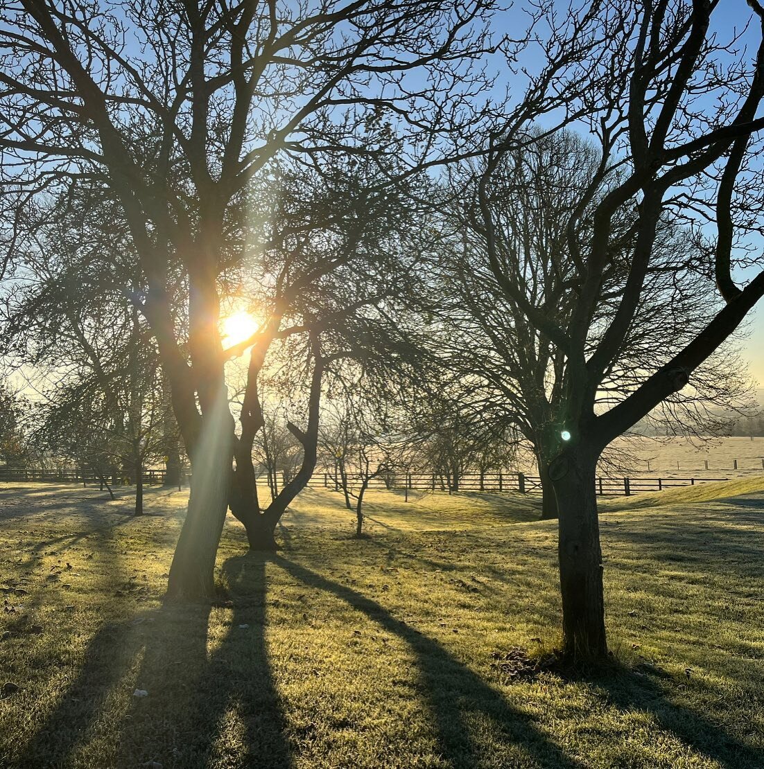 Happy 2🌟23!

#nature #winter #newyear #2023 #greenhouse #countryliving #countryside #countrylife
#bookstagram #book #booktok #bookrecommendations #booklove #writerscommunity 
#bookclub #fictionwriter #bookshop #bookshelves #bookshops #Waterstones #c