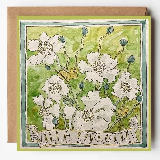 anemone+envelope.jpg