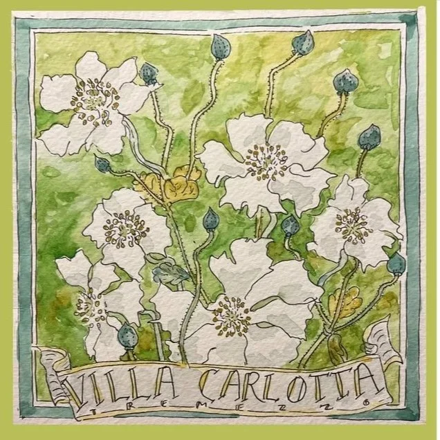 villacarlottaanemones.jpg