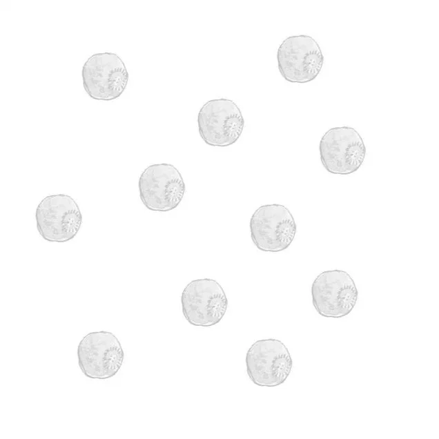 barberry.jpg