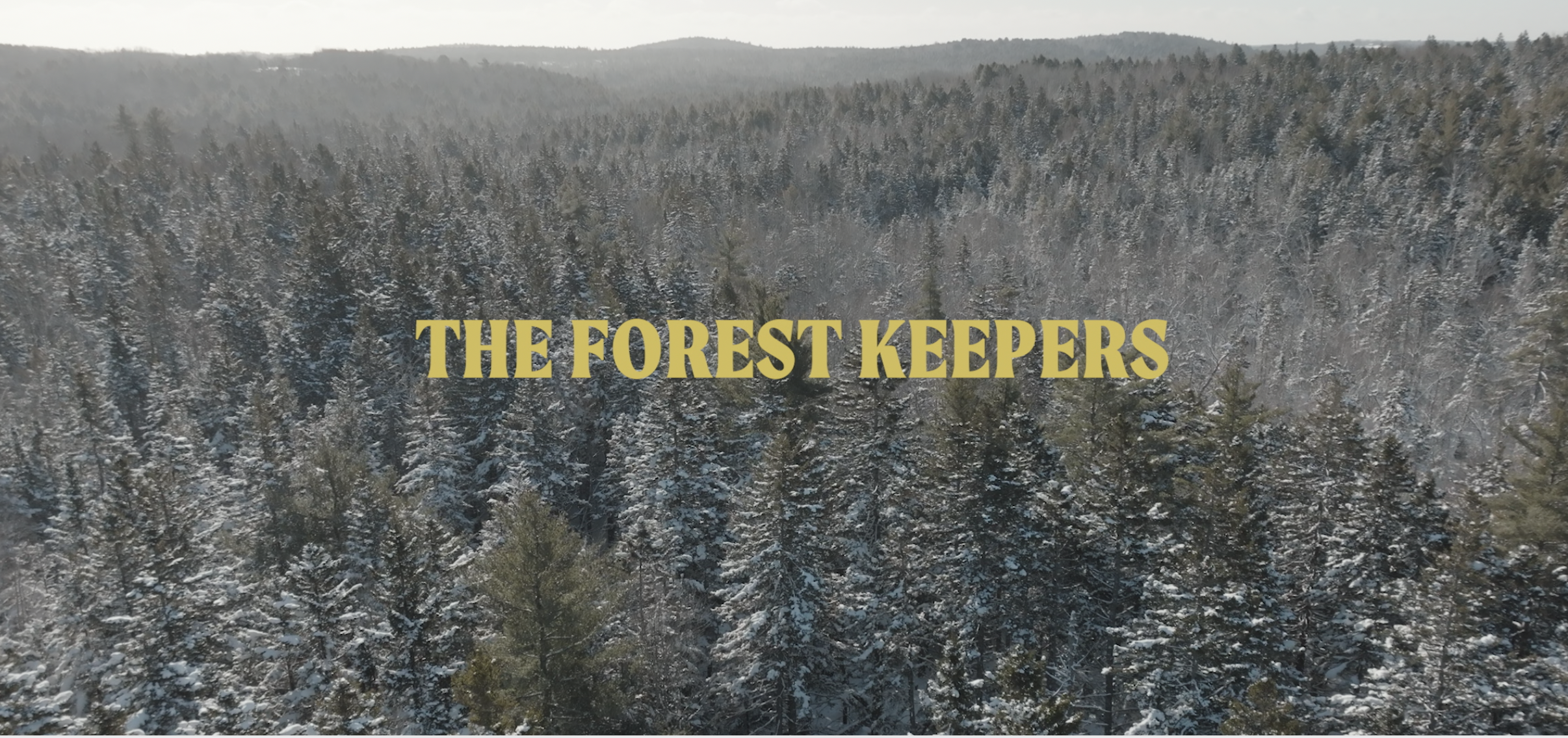 The Forest Keepers: A Story of Woodland Stewardship