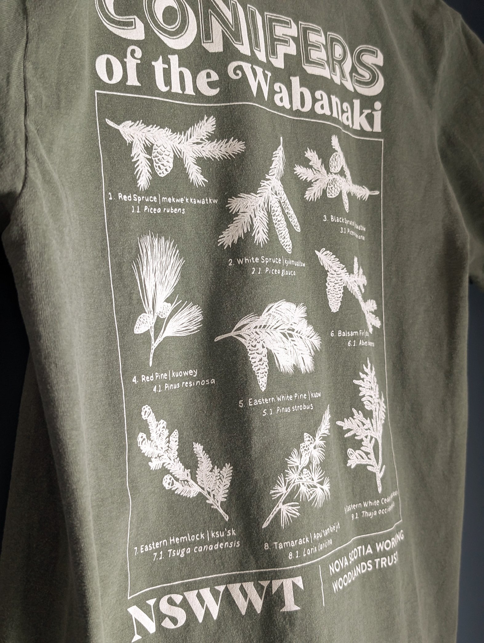 NSWWT Merch Photos-105.jpg