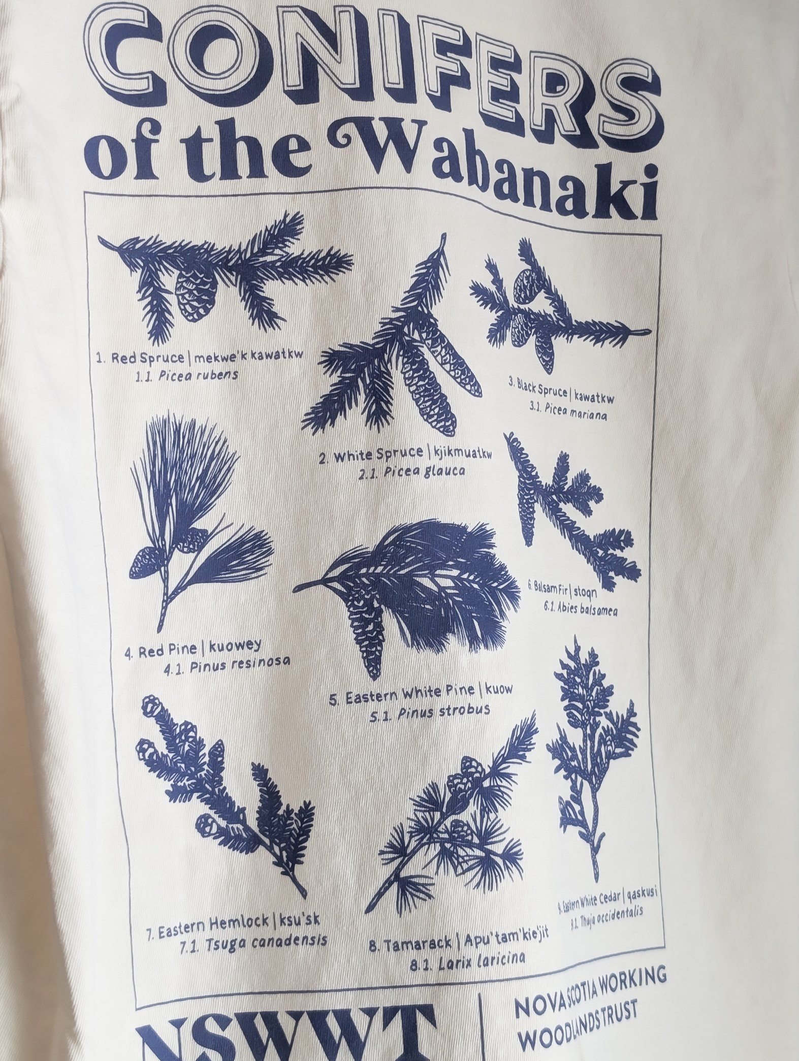 NSWWT Merch Photos-108.jpg